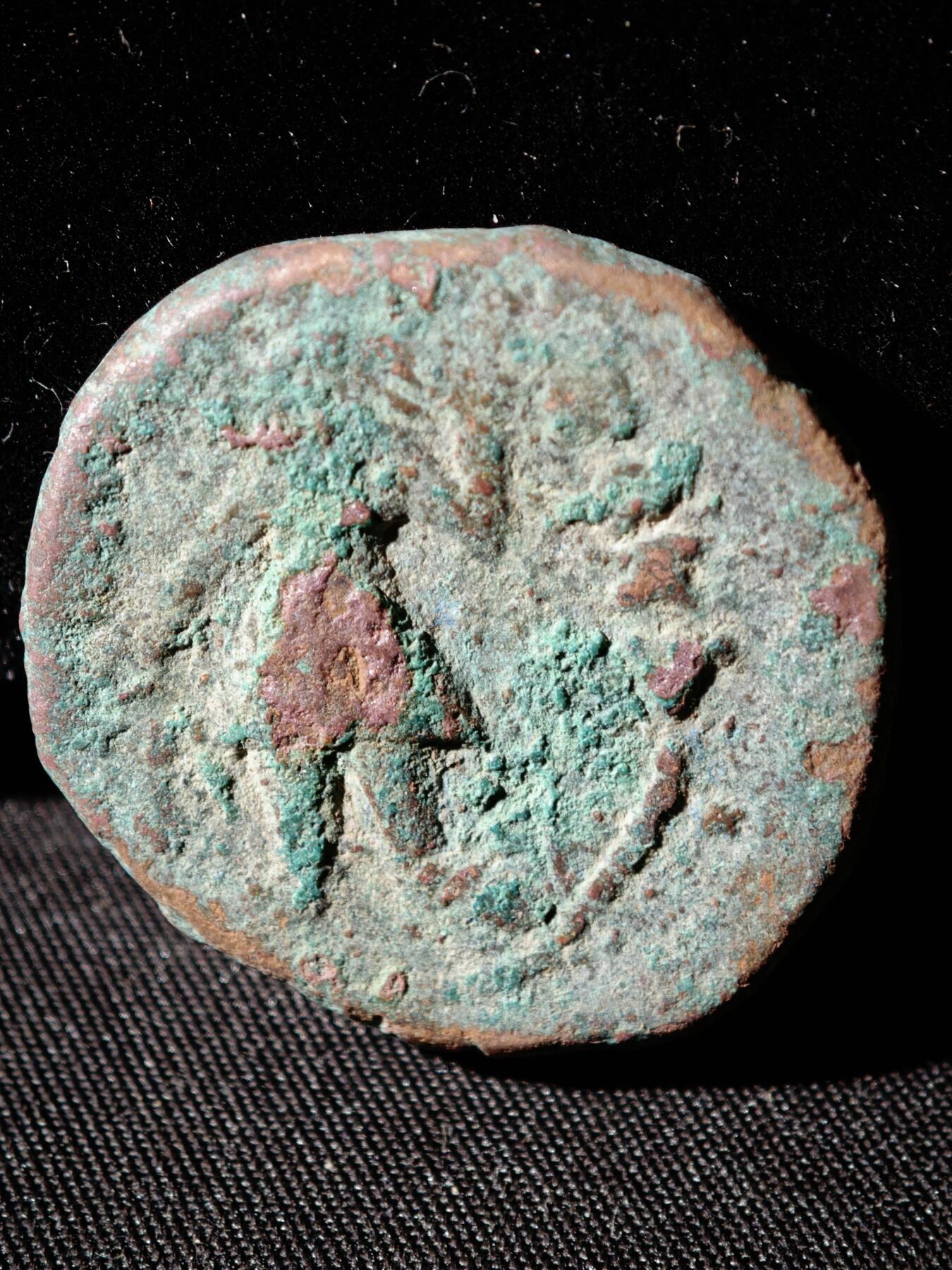 110期新疆红钱粟特钱币丝路钱币专场 C丝路铜币