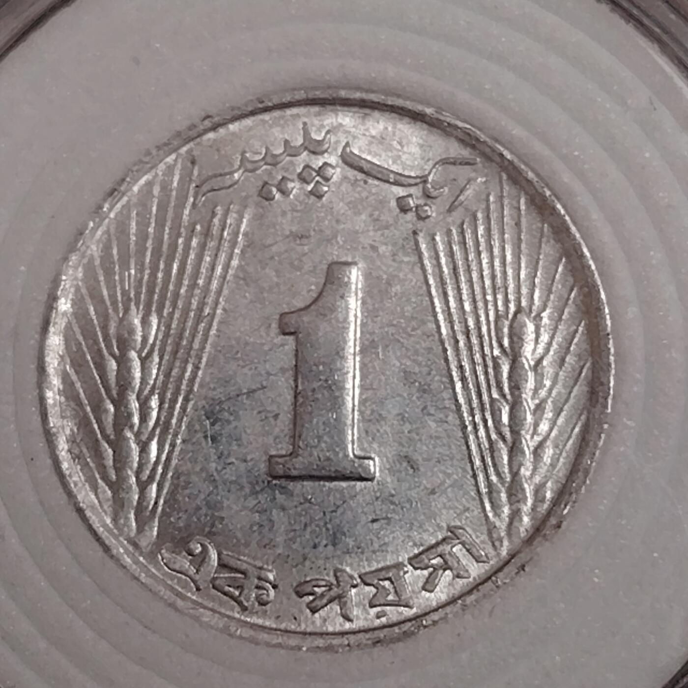 布加迪🐬～世界钱币(上海)🌾第 271 期 /  各国套币和散币 巴基斯坦🇵🇰 1971年 1派沙