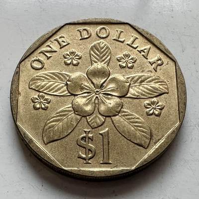 🌹外币初藏🌹🐯2026年第11场  每周二四六晚8️⃣点 接代拍 - 新加坡1997年一元 a