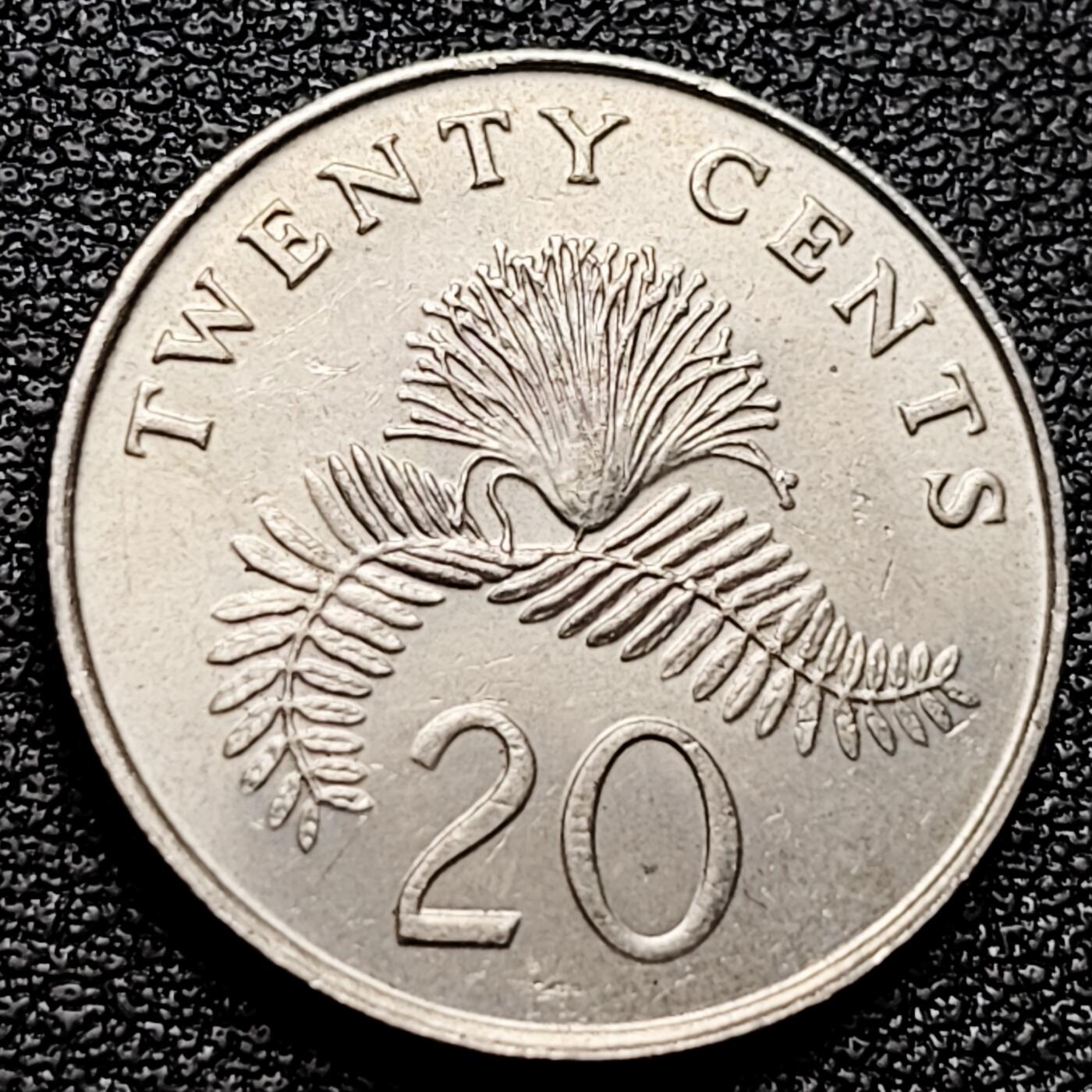 泉币菌-第173场- 精品福利场 。