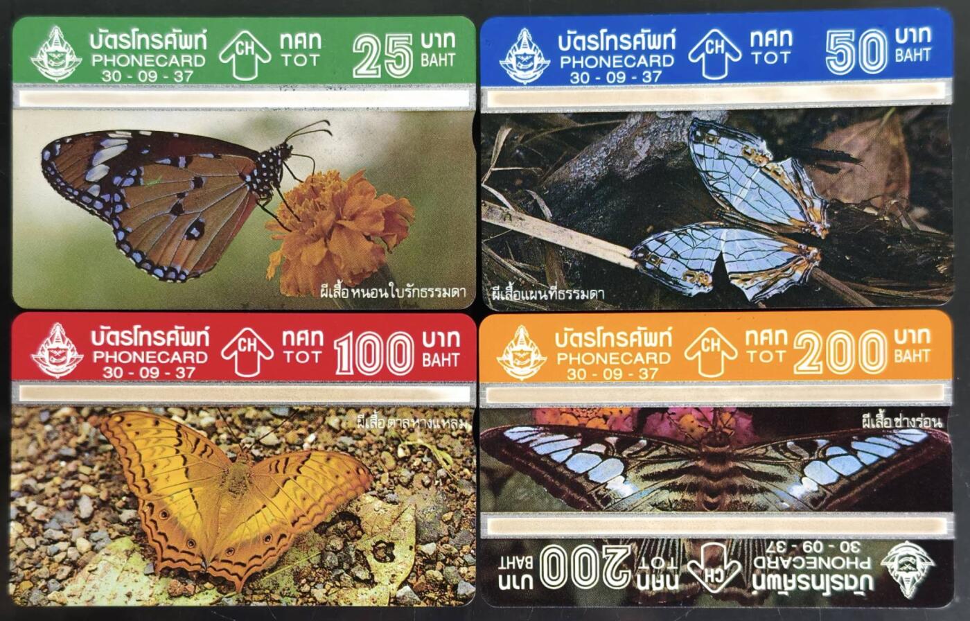 公藏第61期裸卡拍卖 泰国光学新卡（蝴蝶）4全品好。