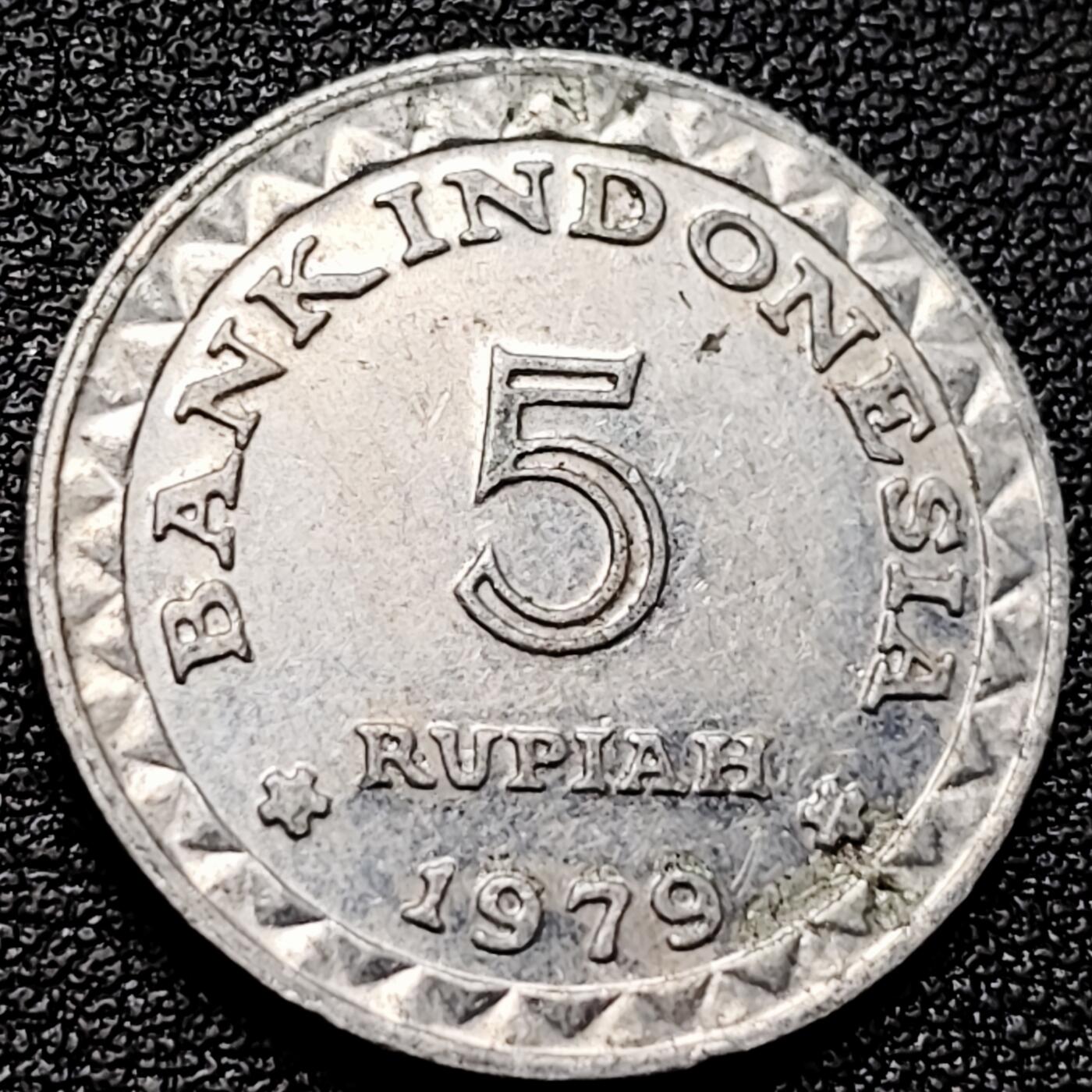 泉币菌-第173场- 精品福利场 。