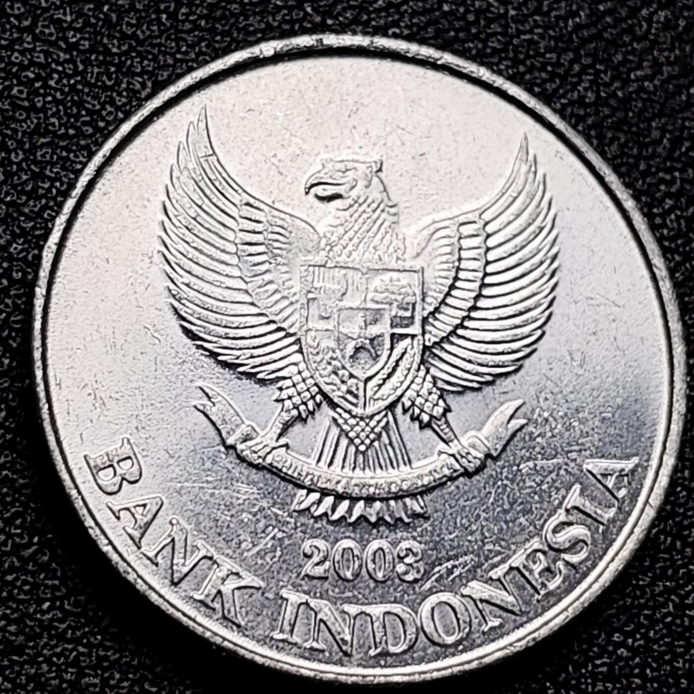 泉币菌-第173场- 精品福利场 。