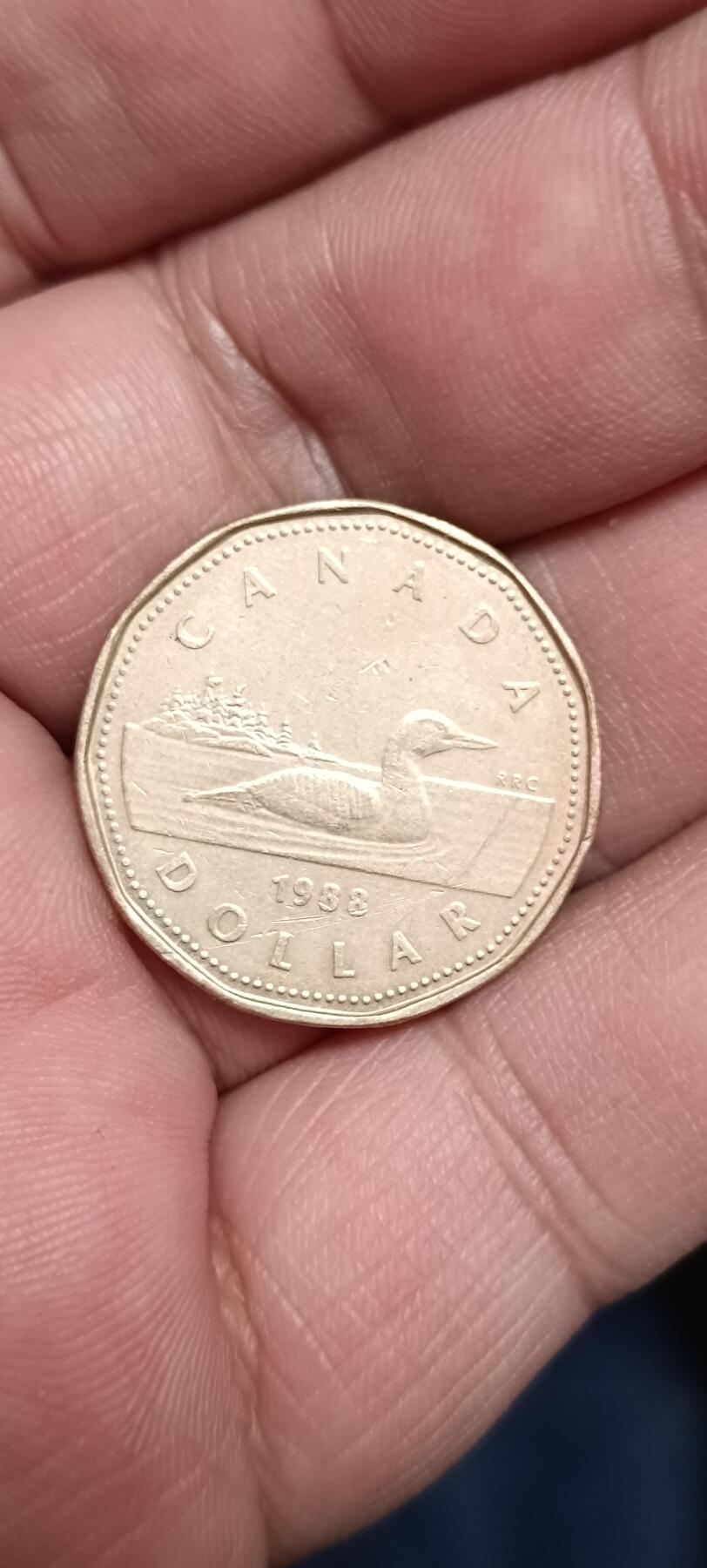 万国钱币阁第八场