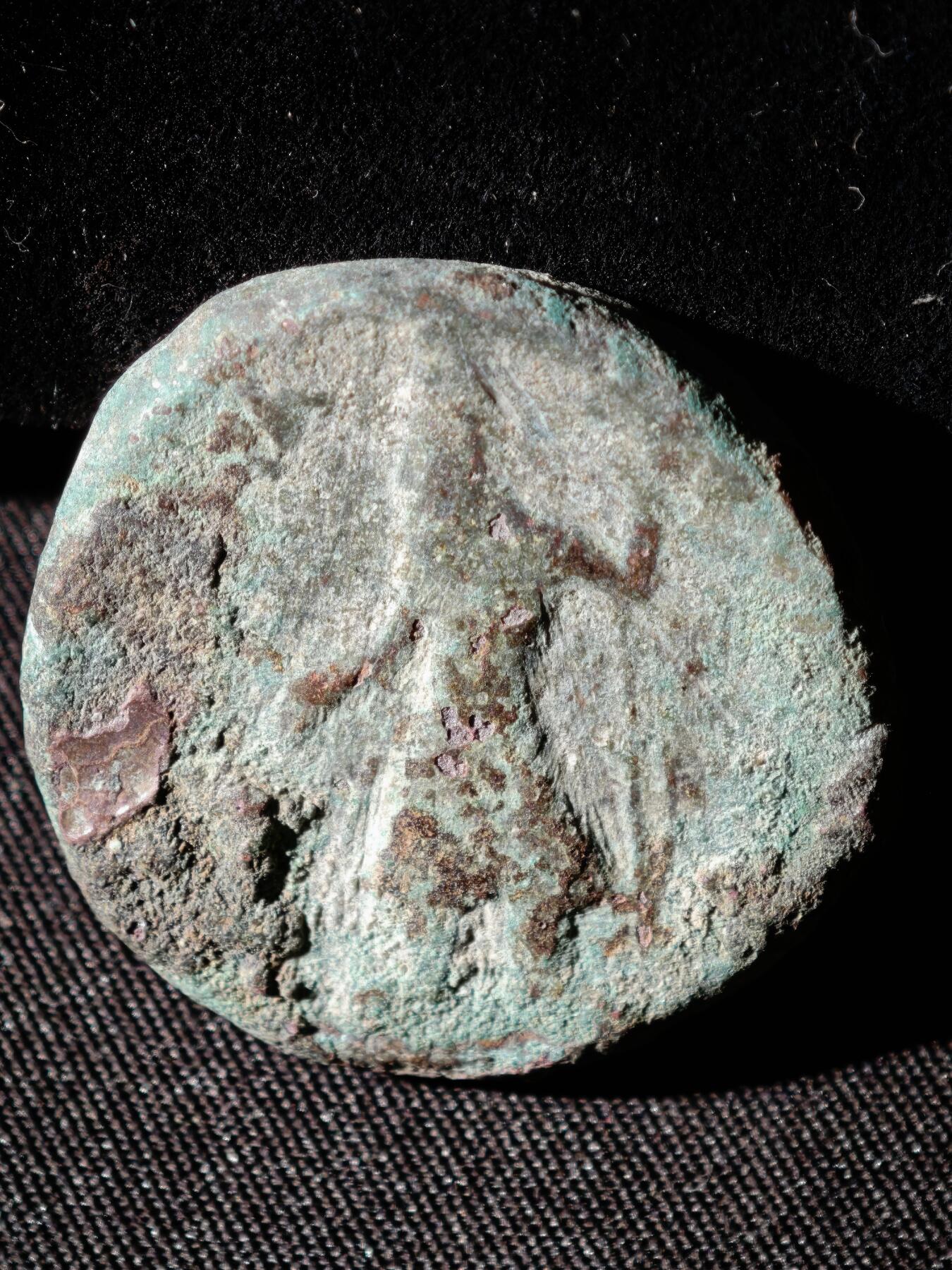 110期新疆红钱粟特钱币丝路钱币专场 C丝路铜币