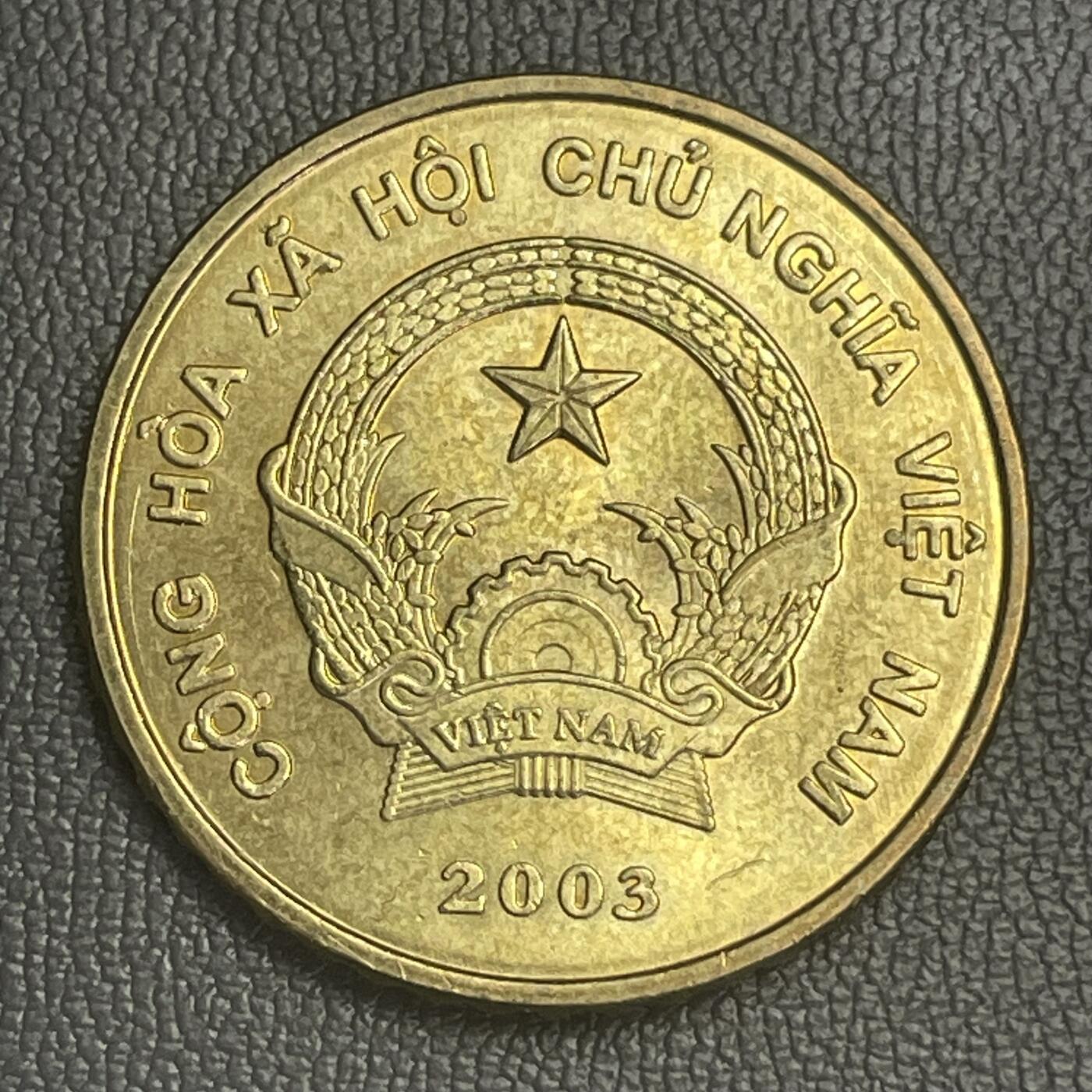 回流0125 全新2003年越南5000盾铜币