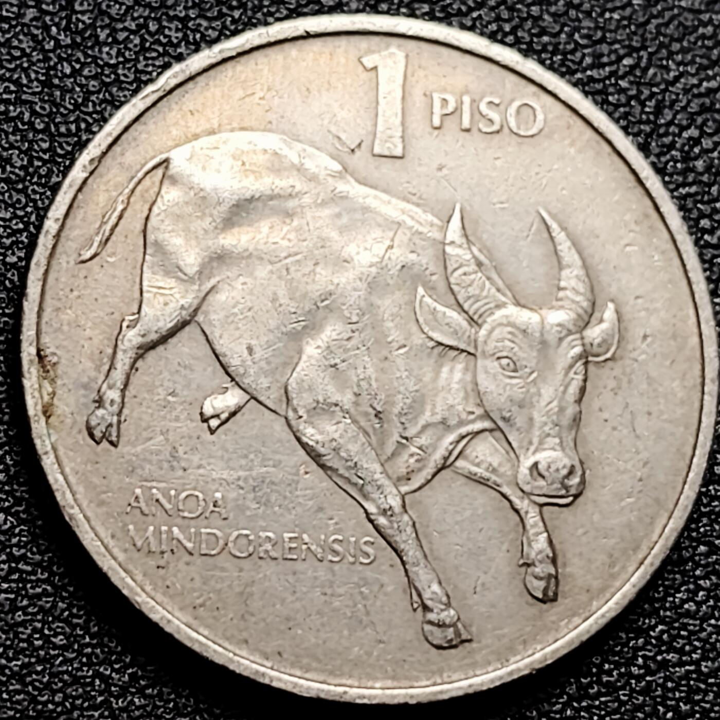 泉币菌-第173场- 精品福利场 。