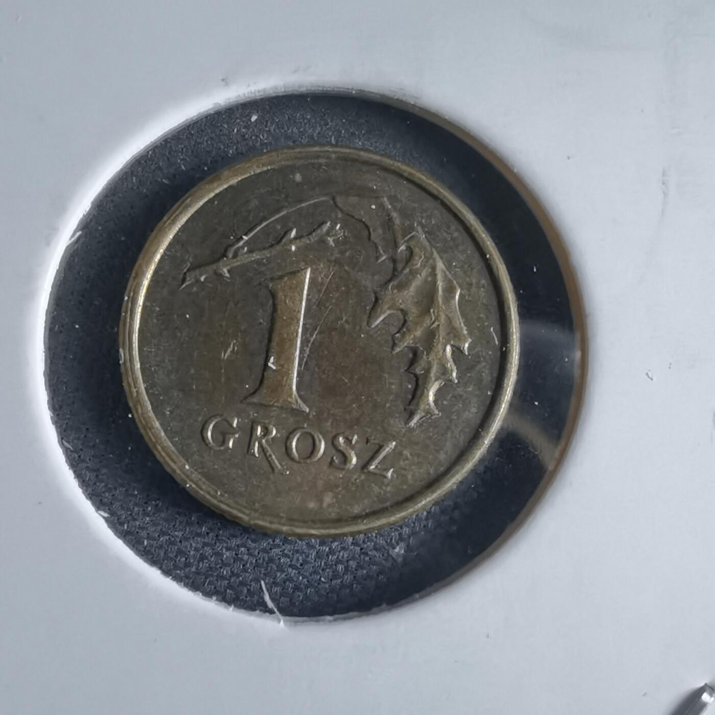 沼泽如烟--第969场 波兰2008年1格罗申