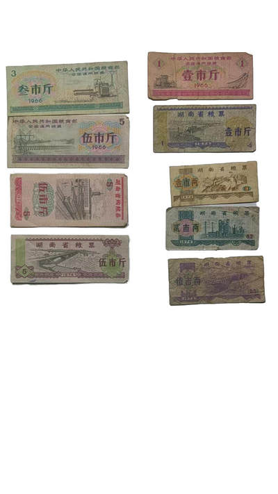 粮票 - 粮票