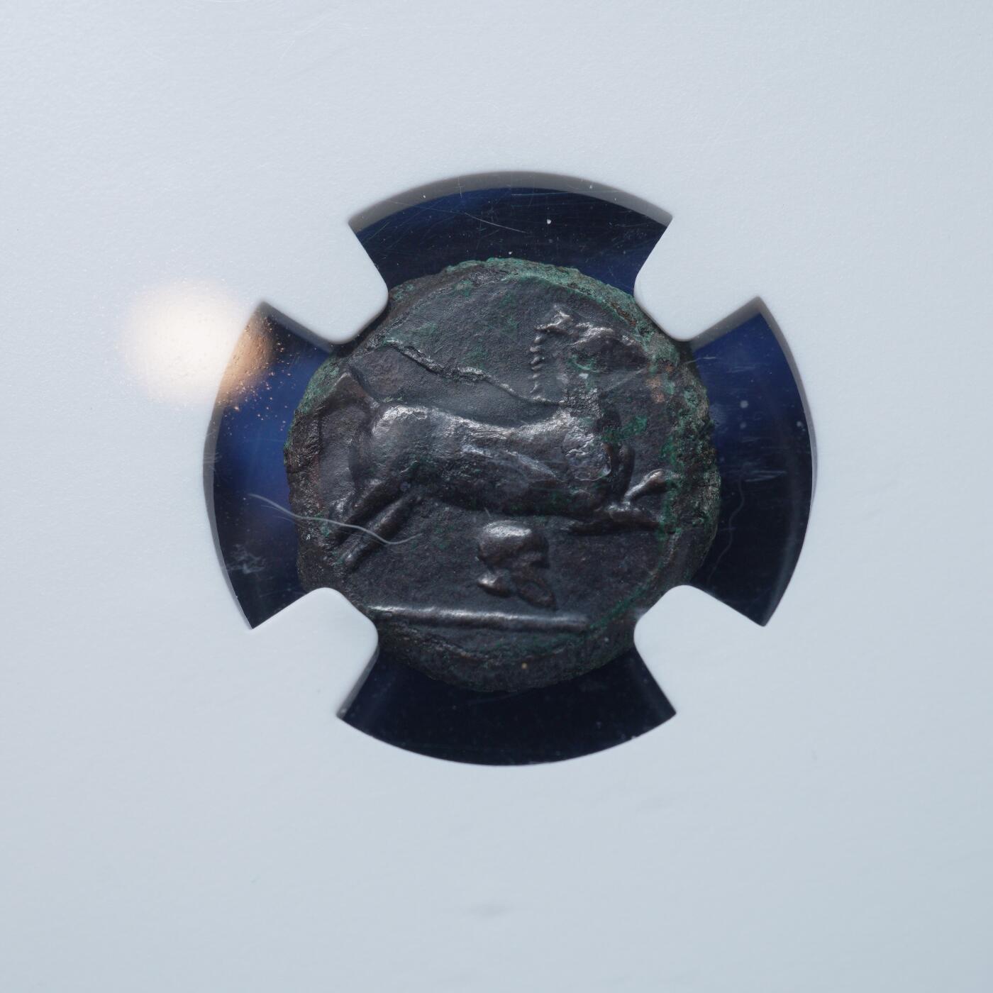 琋语集藏2026年02月欧洲古典打制币拍卖 古希腊西西里岛-恩泰拉 男性战盔像与骏马铜币（NGC评级）