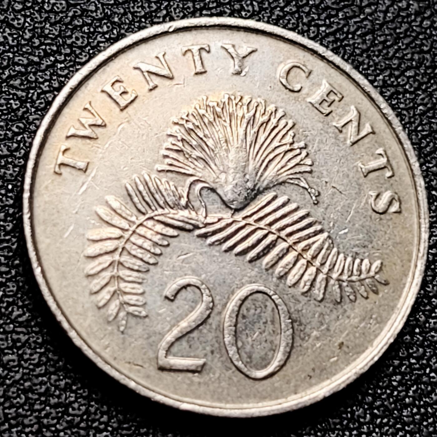 泉币菌-第173场- 精品福利场 。