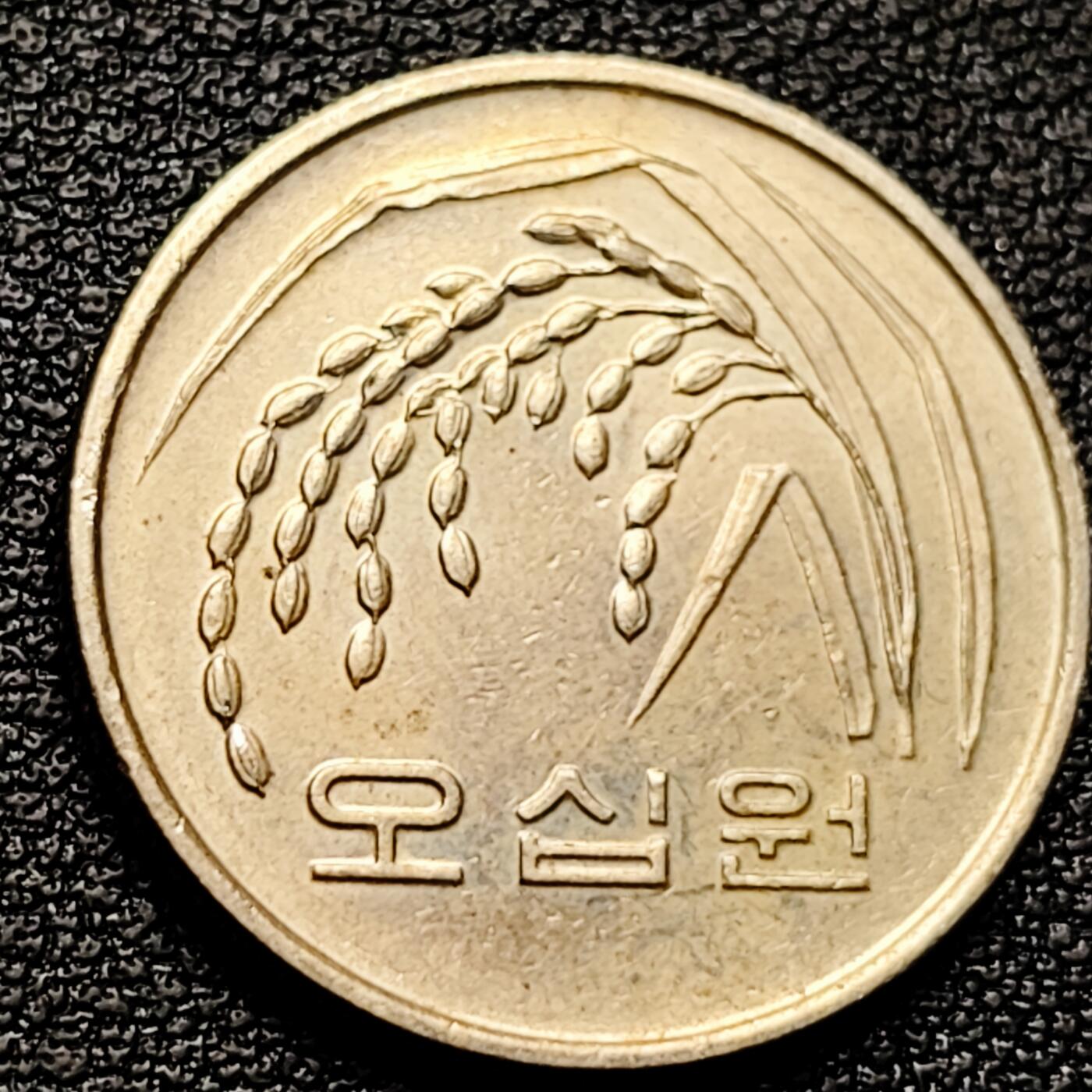 泉币菌-第173场- 精品福利场 。