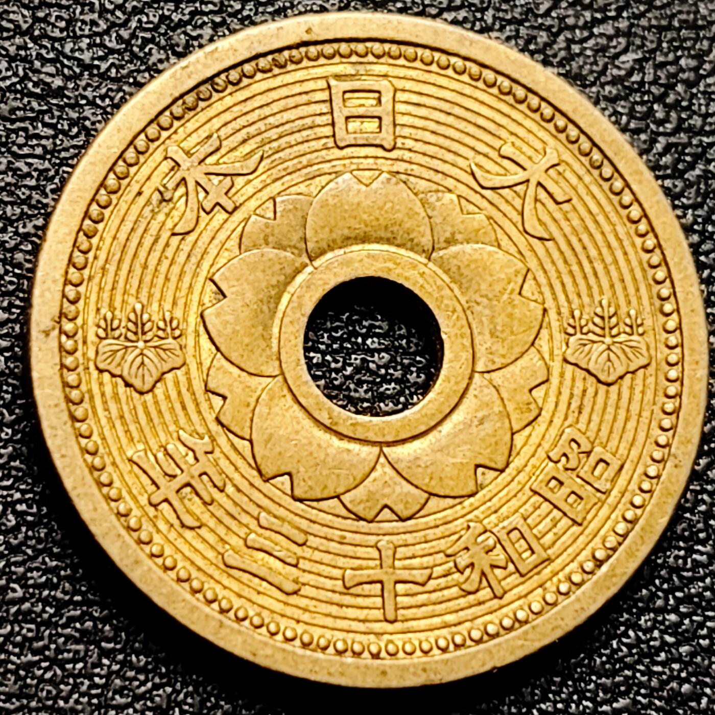 泉币菌-第173场- 精品福利场 。