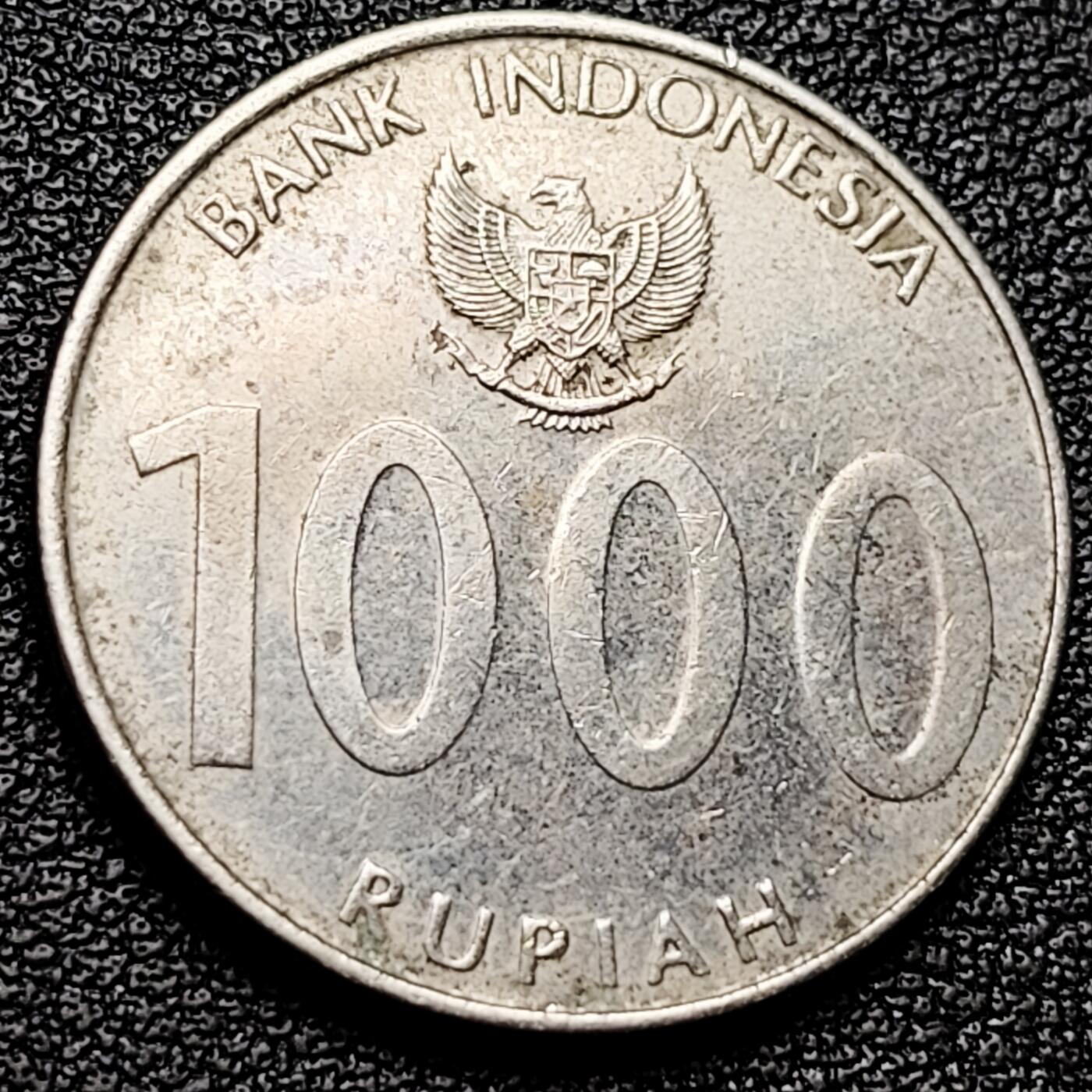 泉币菌-第173场- 精品福利场 。