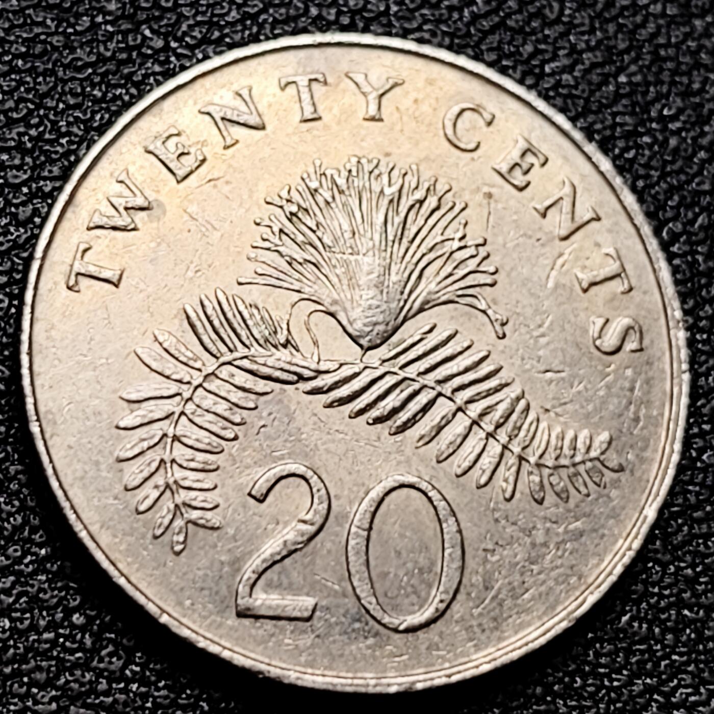 泉币菌-第173场- 精品福利场 。