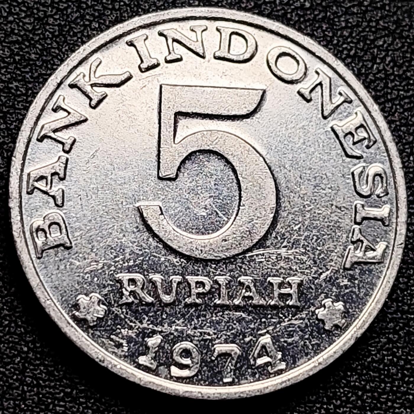 泉币菌-第174场- 精品福利场 。