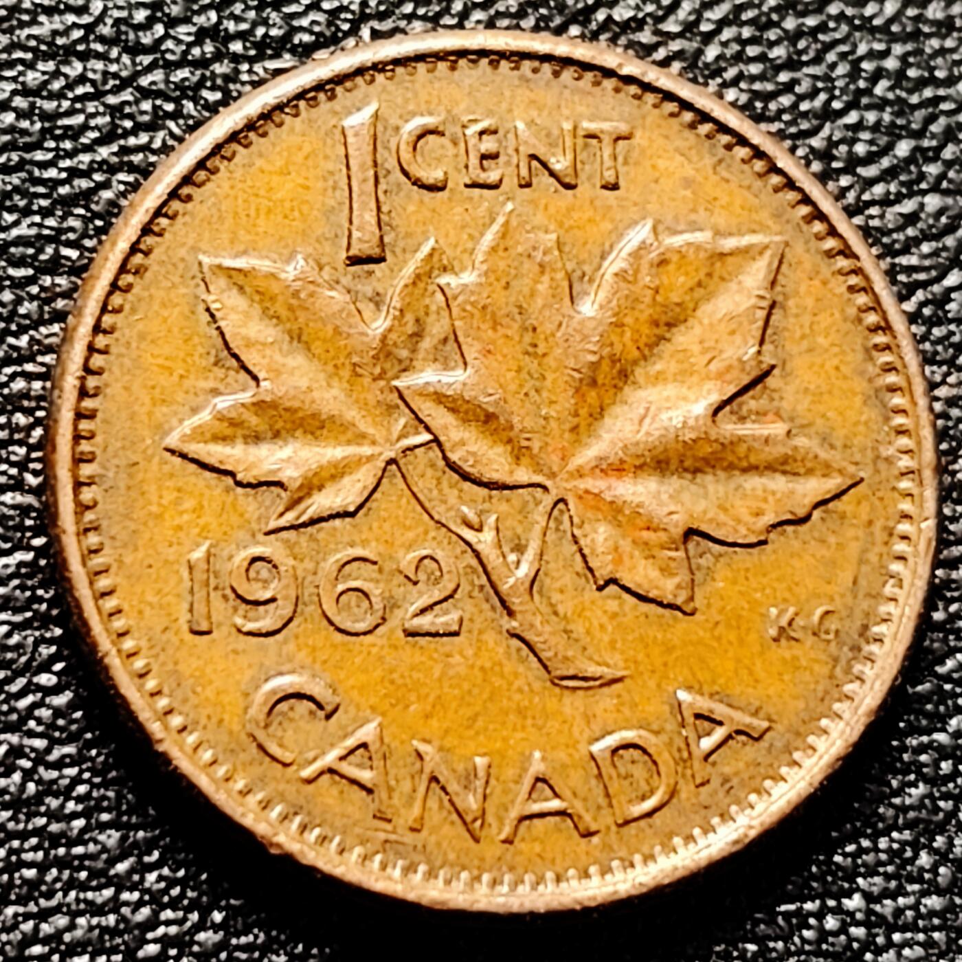 泉币菌-第173场- 精品福利场 。