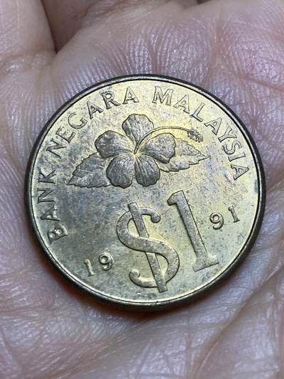 2026年第十三场(总第一百八十二场）外国好品散币场(免佣金) - 马来西亚🇲🇾1991年1林吉特(独立后第二版，有货币符号版)