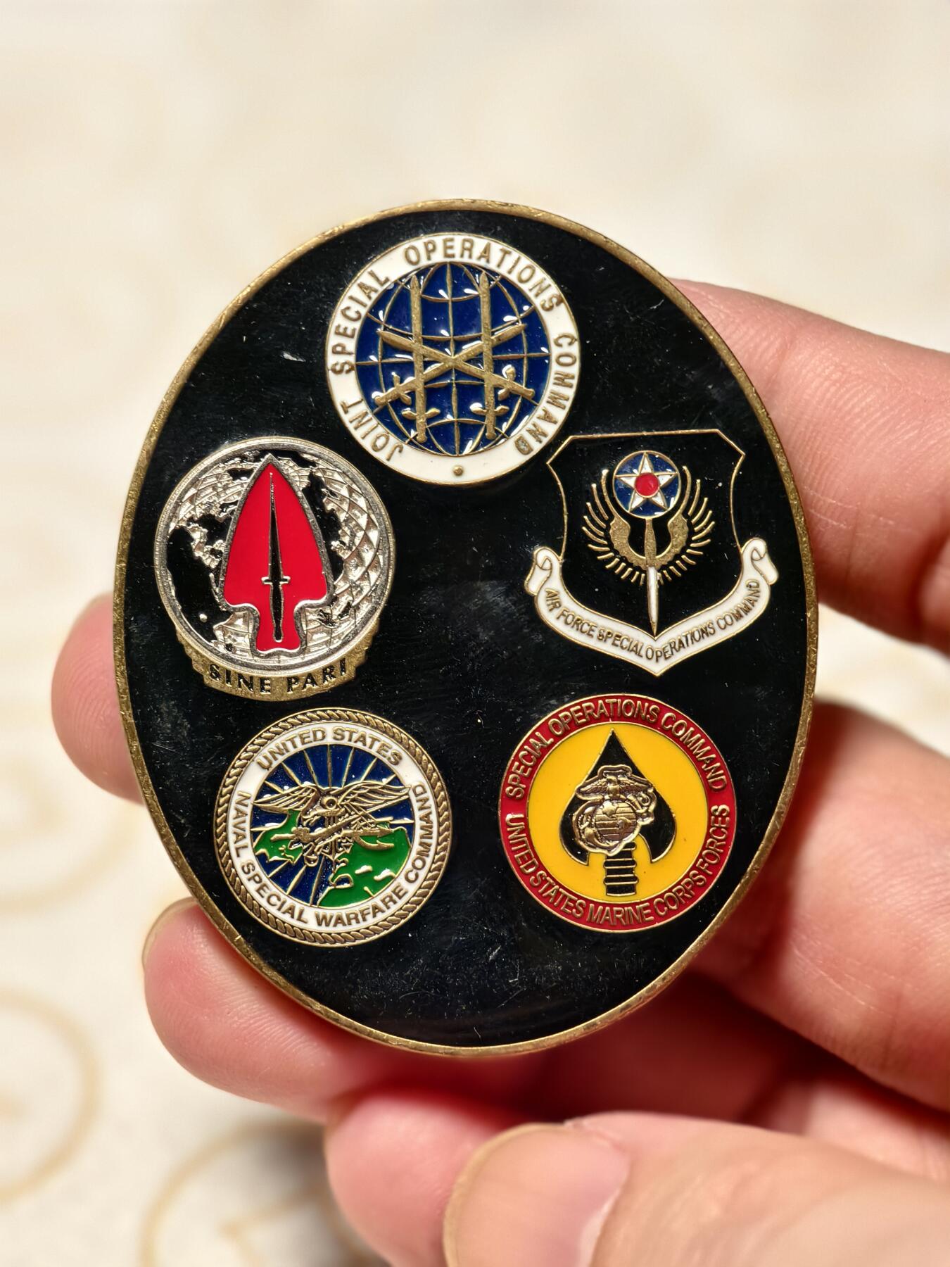 抚柳草堂-第十期章牌钱币  奖章勋章限时免佣 满百包邮 放漏专场 美国特种作战司令部大型纪念章 57*46mm 品相如图