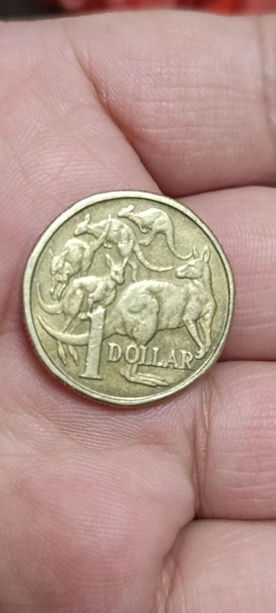 万国钱币阁第八场 - 澳大利亚女王袋鼠版1元