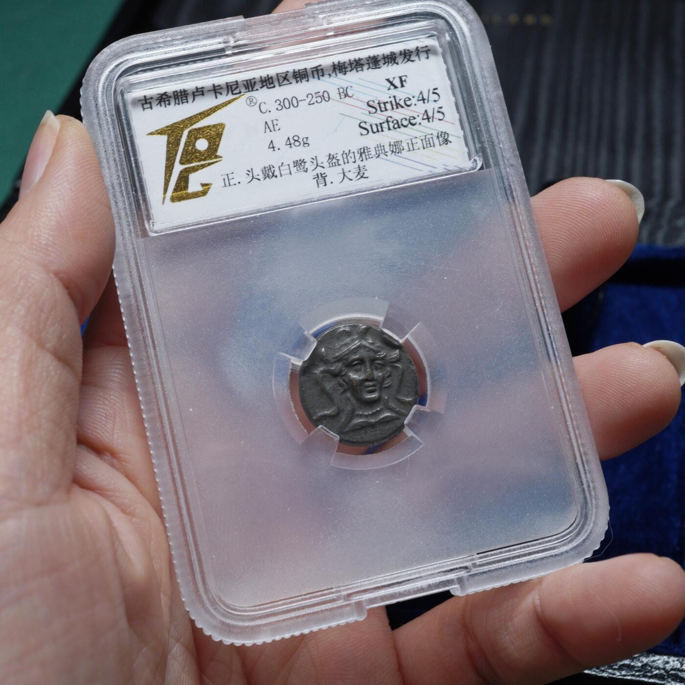 琋语集藏2026年02月欧洲古典打制币拍卖 古希腊卢卡尼亚雅典娜与大麦铜币（TQG评级）