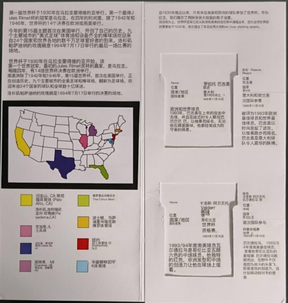 公藏第61期裸卡拍卖 马来西亚光学新卡（世界足球名星--罗伯特，卡罗斯）2枚带册好品。