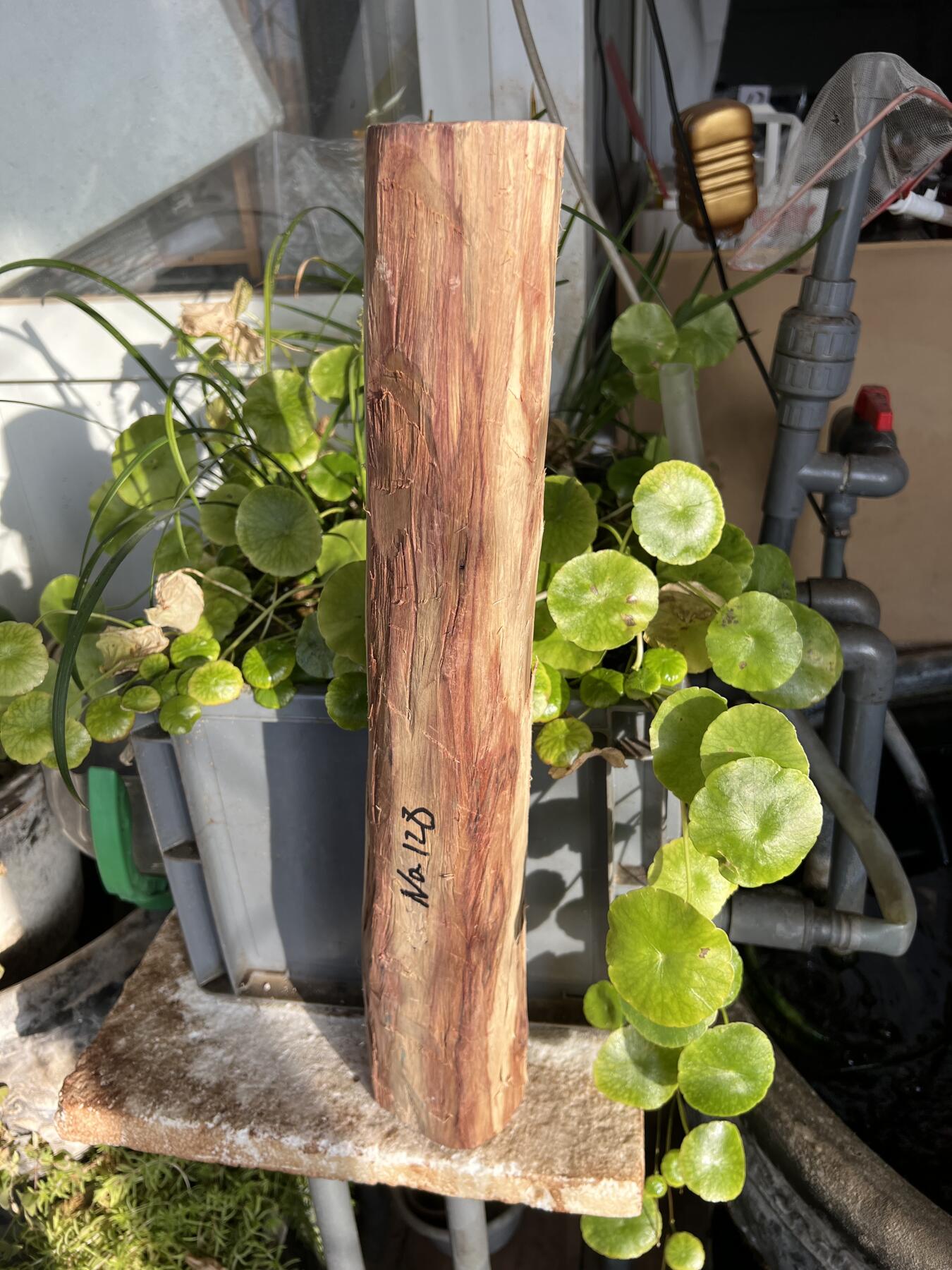 零元拍：  NO.128海南黄花梨珠子料 ，鬼脸还挺多，做烟杆手杖擀面杖，做四对手球没问题。尺寸约475/65/85MM，三斤多重