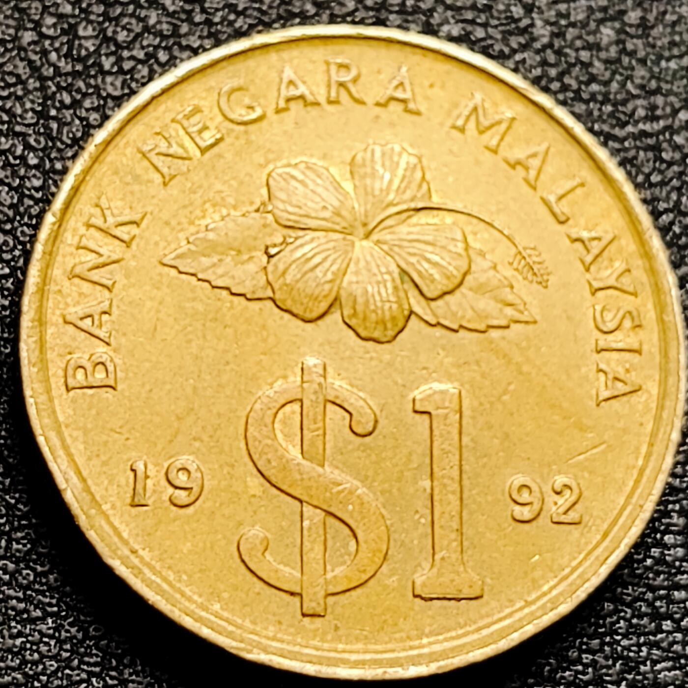 泉币菌-第173场- 精品福利场 。