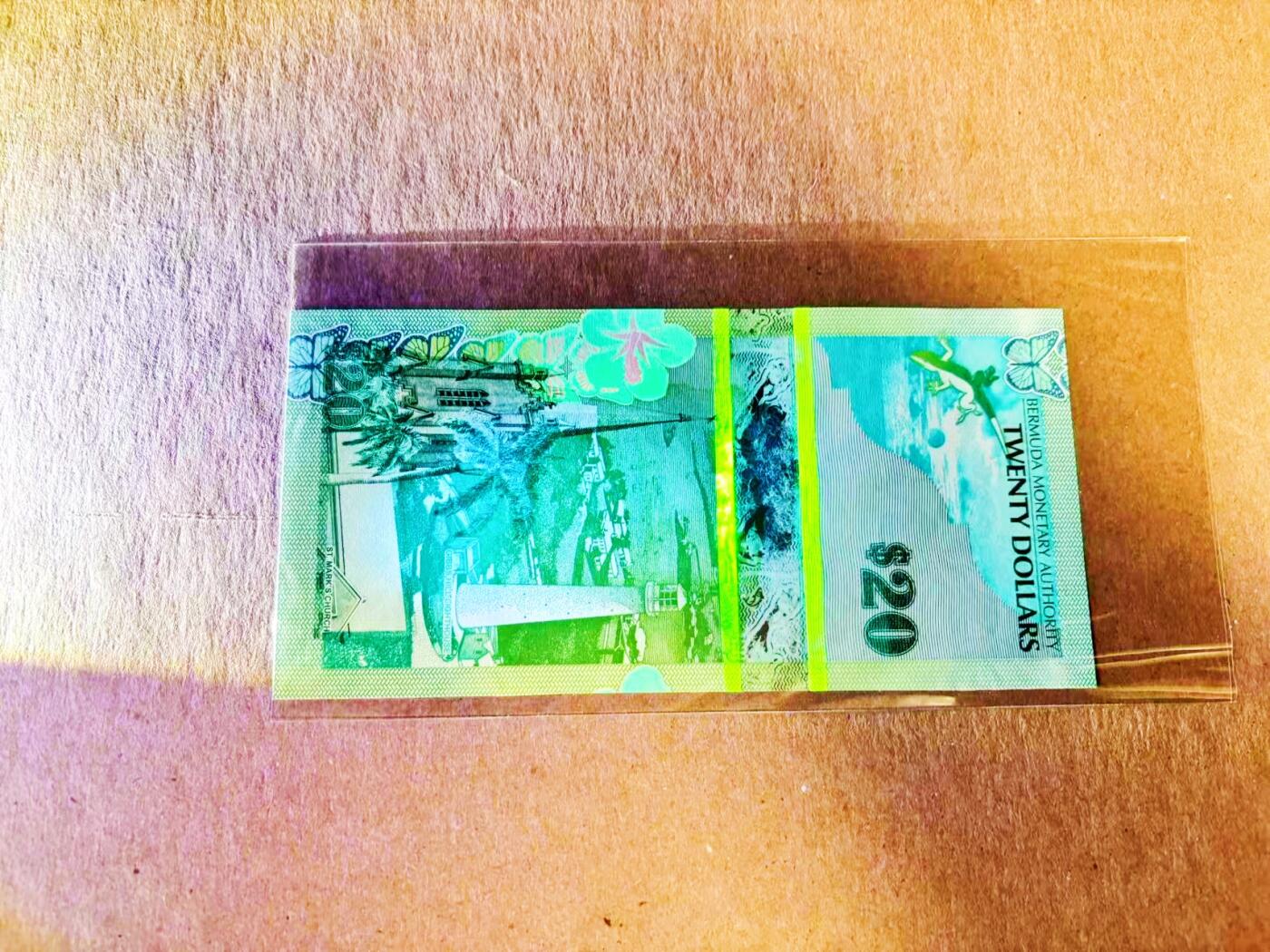 【Blue Auction】世界纸币精拍第778期——18级TOP拍卖/信誉/品质/专业/高效💫 【洋葱冠 无47】百慕大 2009年20元 全新UNC