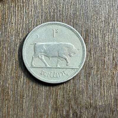 【春节前最后一拍，下一场3.3号】★第139场★散币场。不寄存，30包邮。不满30元，支付5元运费。《接受代拍 代送NGC评级》 - 13【无寄存】1966 爱尔兰 1先令 镍币