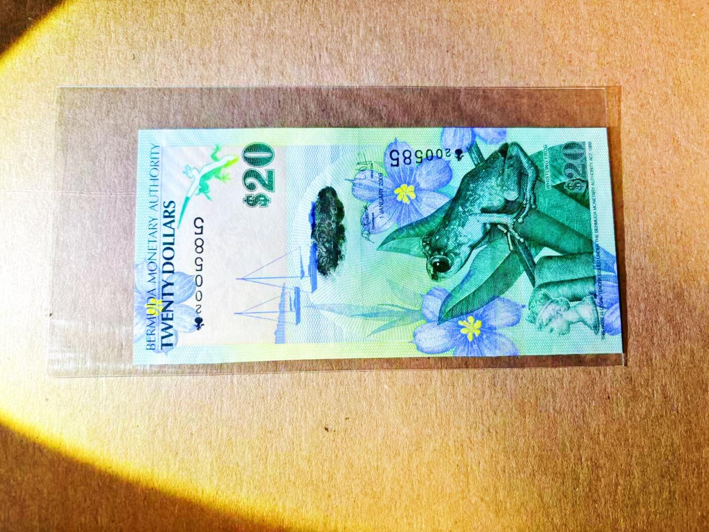 【Blue Auction】世界纸币精拍第778期——18级TOP拍卖/信誉/品质/专业/高效💫 【洋葱冠 无47】百慕大 2009年20元 全新UNC