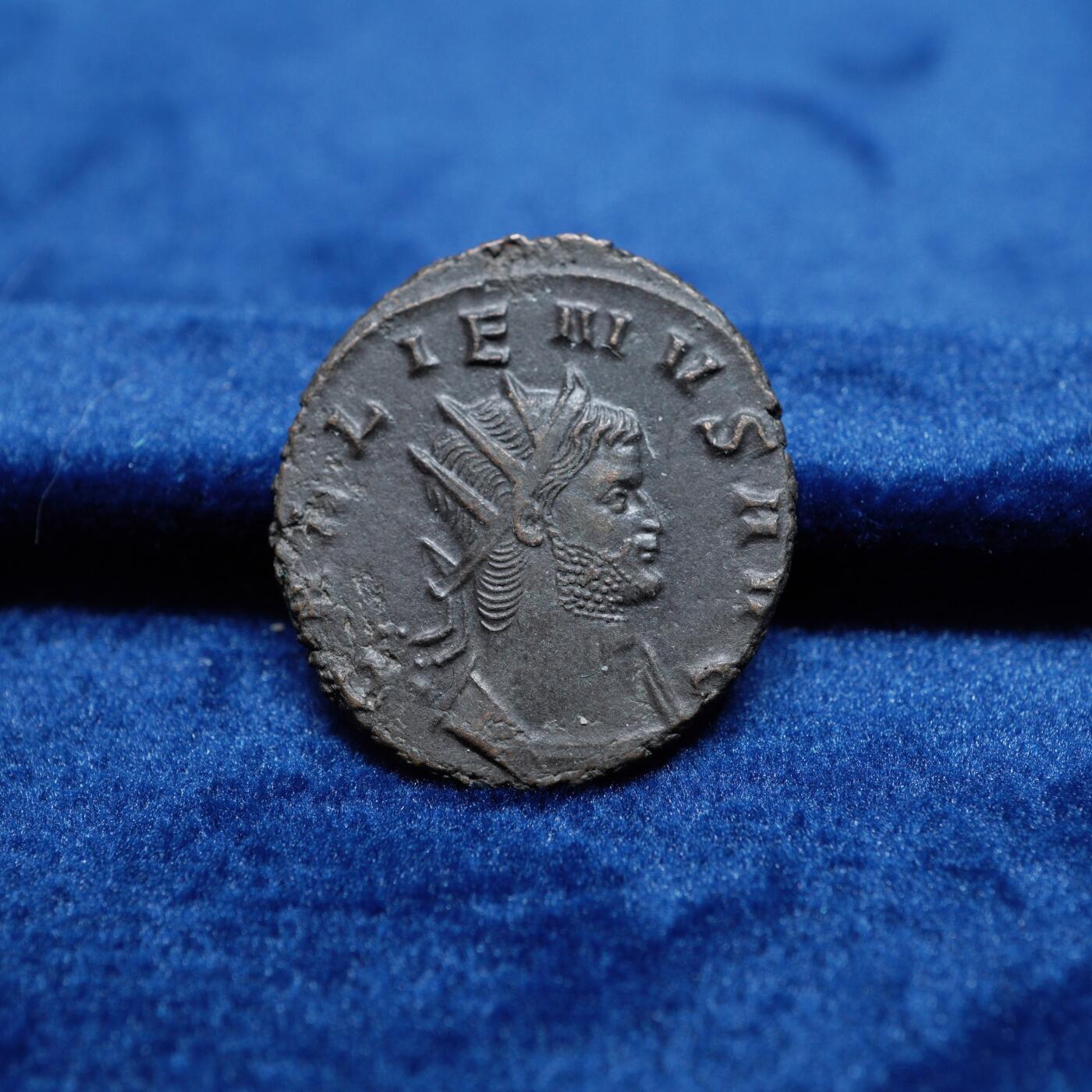 琋语集藏2026年02月欧洲古典打制币拍卖 古罗马帝国加里恩努斯-海马铜币