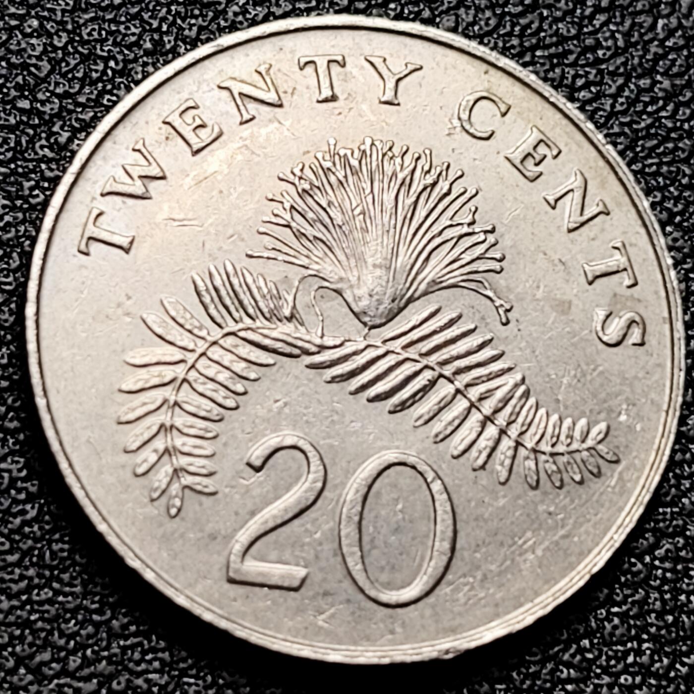 泉币菌-第173场- 精品福利场 。