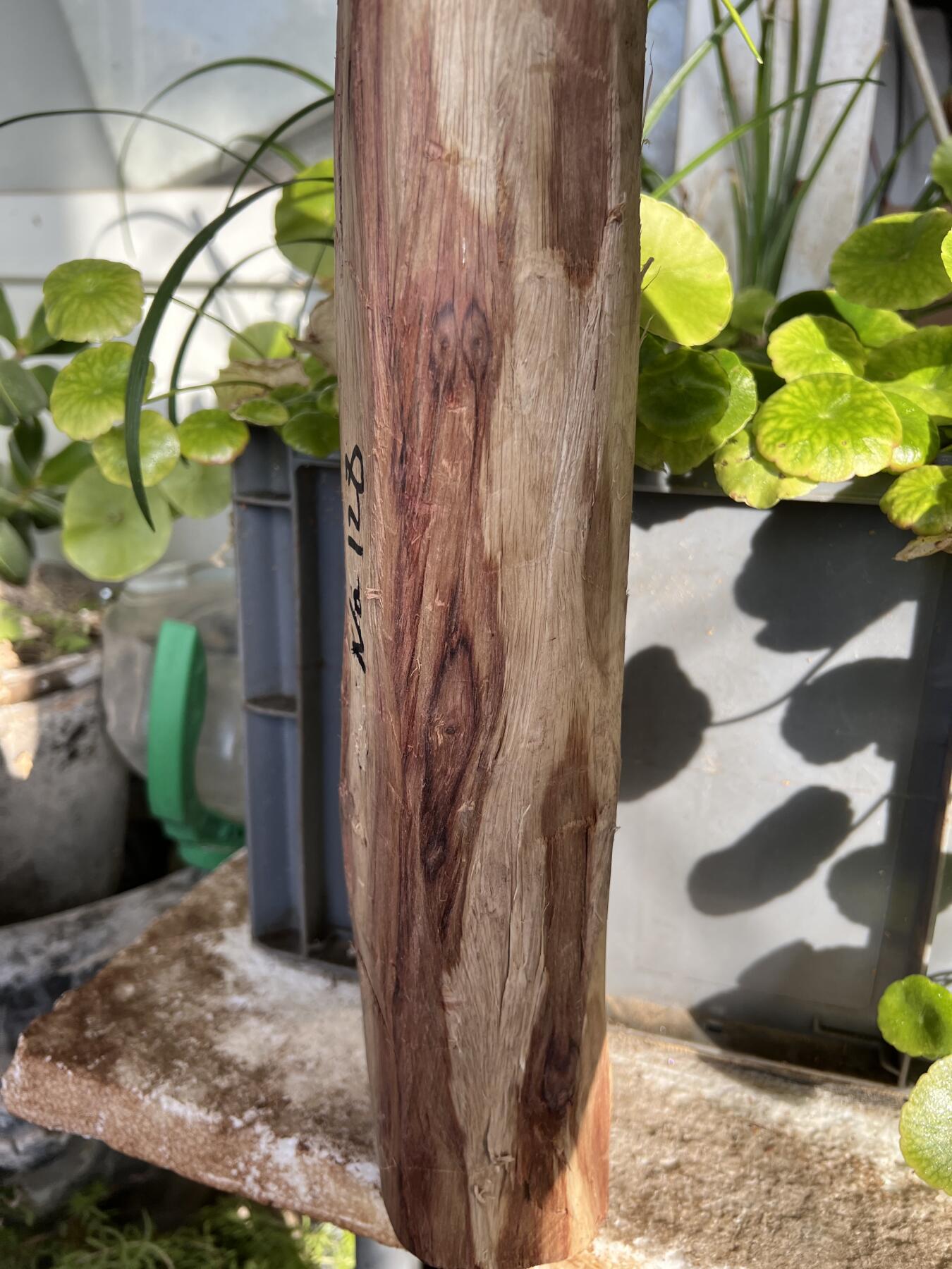 零元拍：  NO.128海南黄花梨珠子料 ，鬼脸还挺多，做烟杆手杖擀面杖，做四对手球没问题。尺寸约475/65/85MM，三斤多重