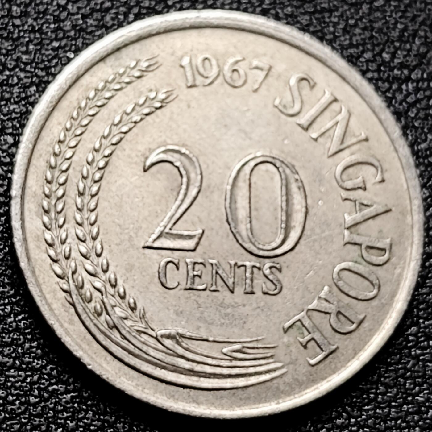 泉币菌-第173场- 精品福利场 。