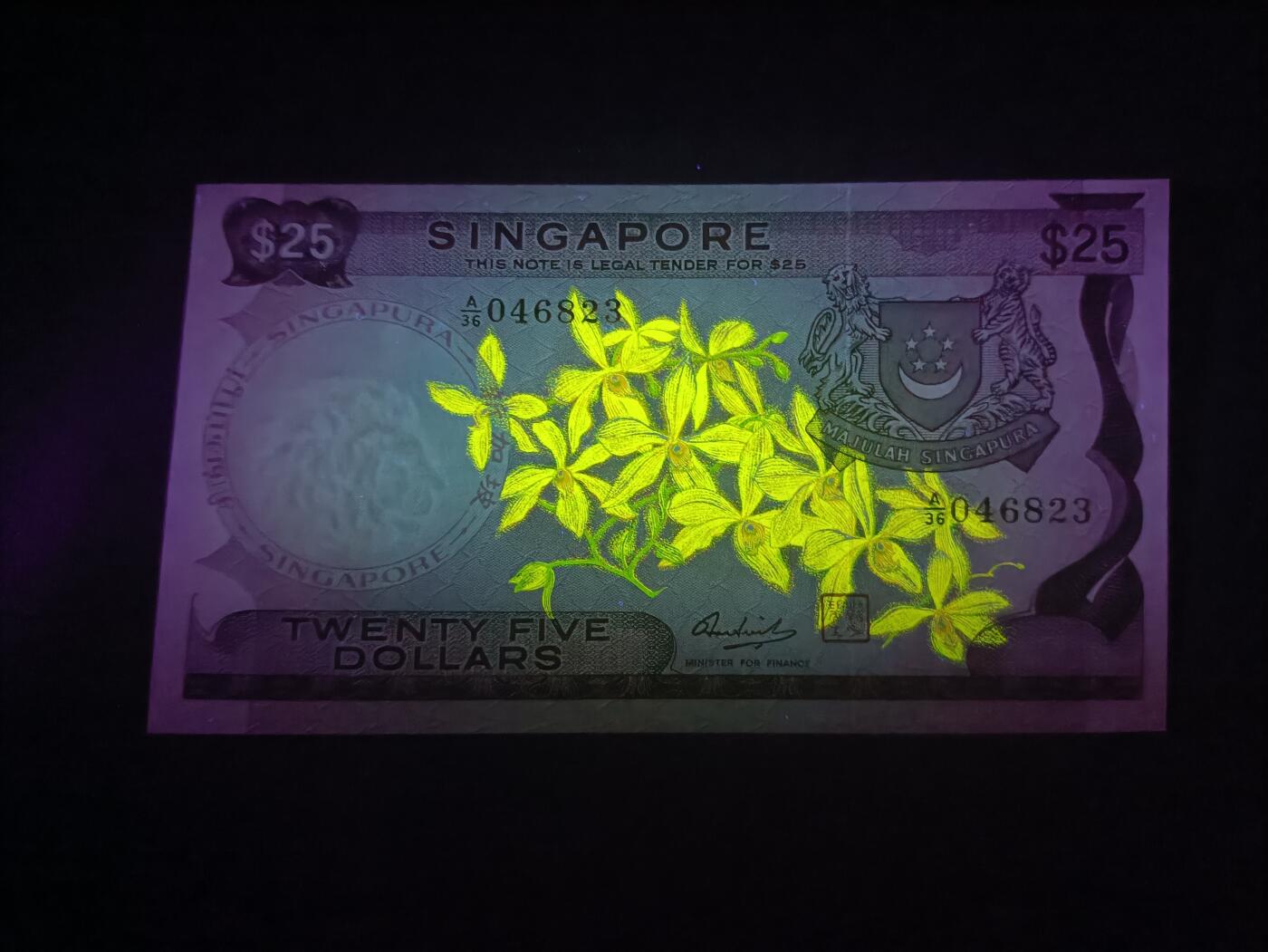 2026一月第四期，总214期 新加坡1972版25元UNC，此系列名誉面值之一，因发行量少被藏家追捧，胡姬花和老议会大楼