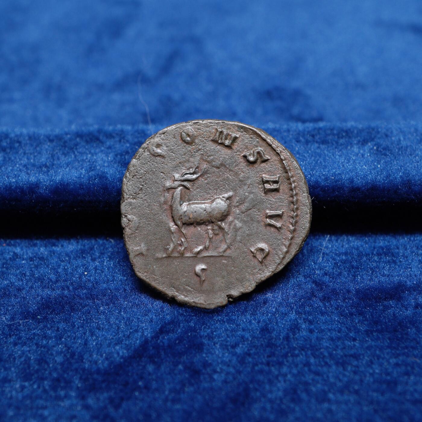 琋语集藏2026年02月欧洲古典打制币拍卖 古罗马帝国加里恩努斯-山羊铜币