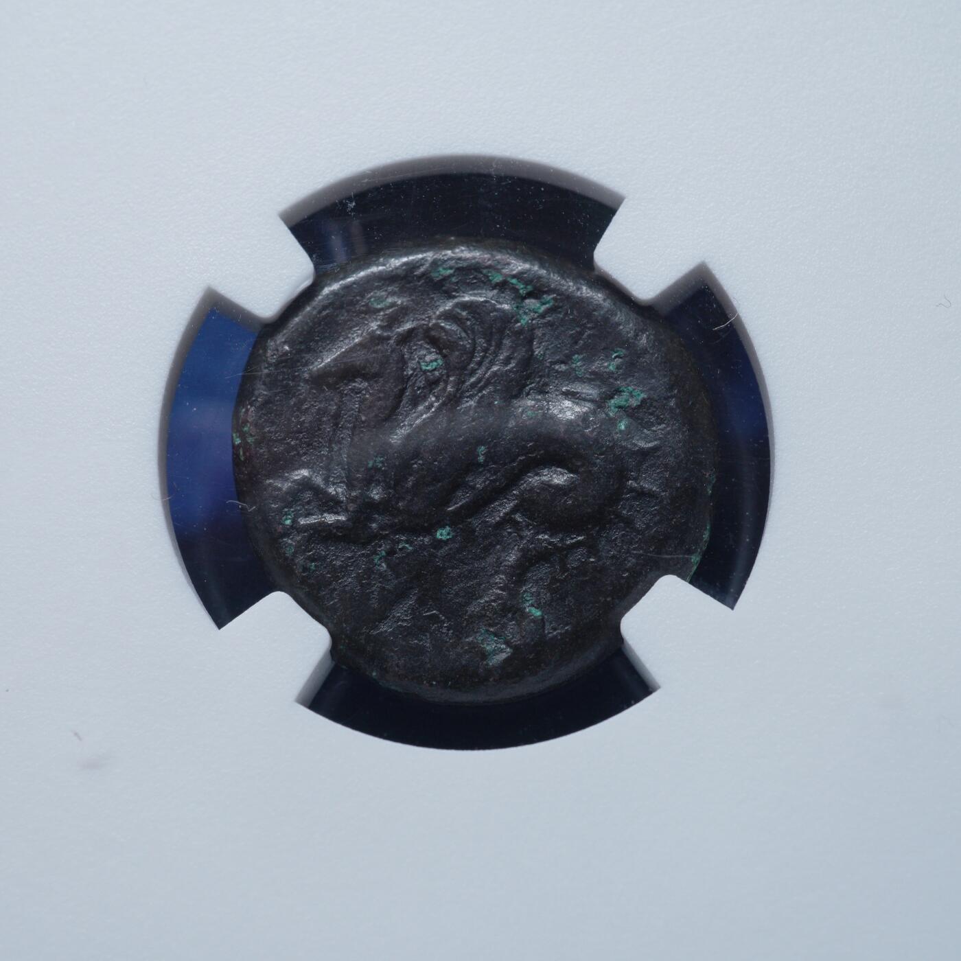 琋语集藏2026年02月欧洲古典打制币拍卖 古希腊西西里叙拉古雅典娜与带翅膀的海马铜币（NGC评级）