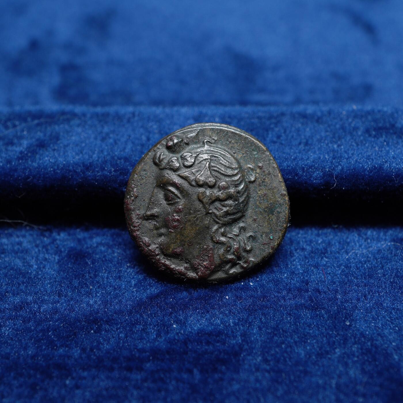 琋语集藏2026年02月欧洲古典打制币拍卖 古希腊卢卡尼亚地区酒神狄奥尼索斯与大麦铜币