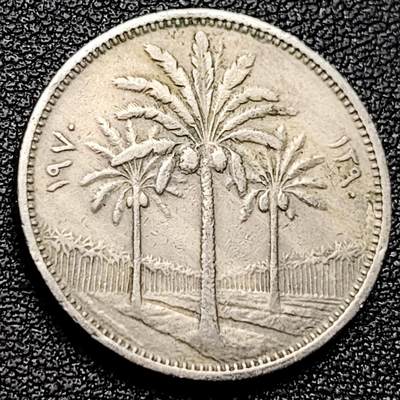 泉币菌-第173场- 精品福利场 - 伊拉克硬币 萨达姆执政时期 异形币 50费尔 椰树版 23mm