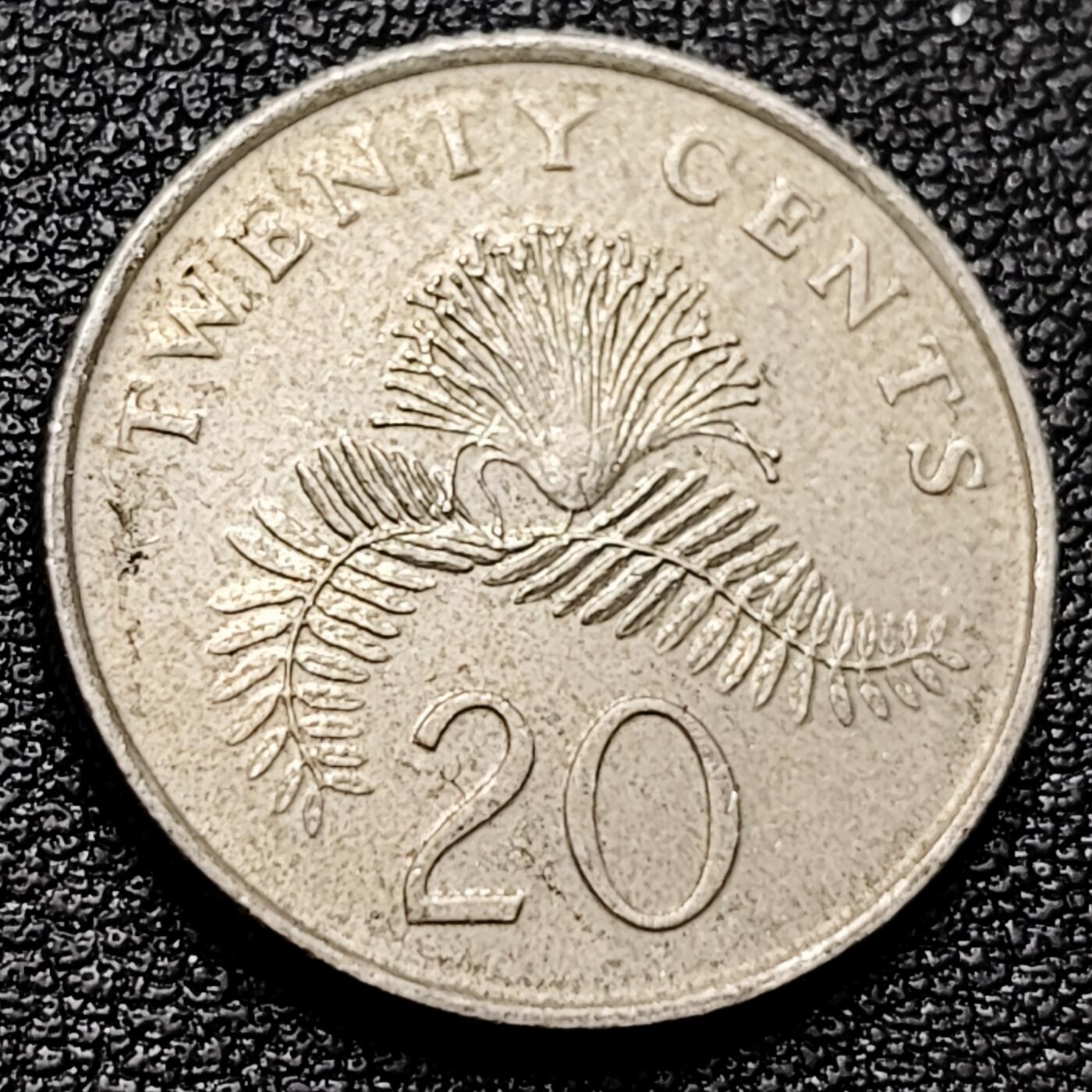 泉币菌-第173场- 精品福利场 。