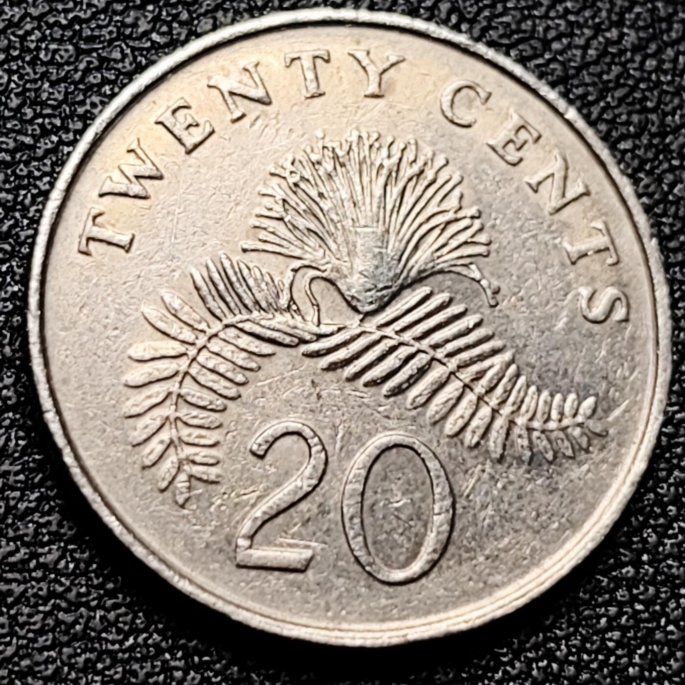 泉币菌-第173场- 精品福利场 。