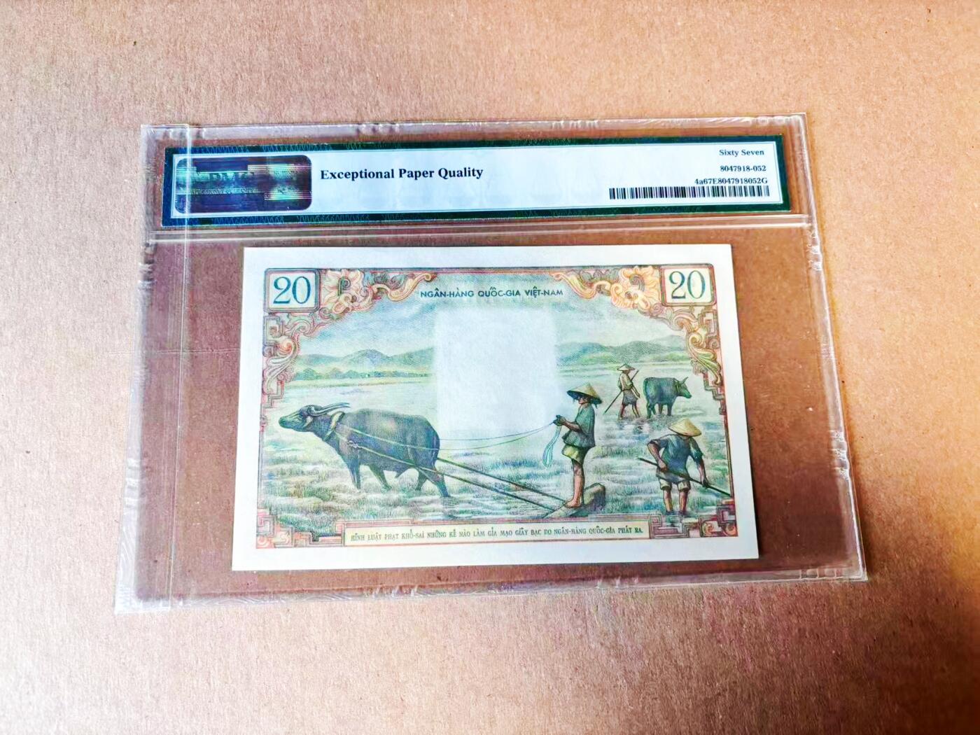 【Blue Auction】世界纸币精拍第778期——18级TOP拍卖/信誉/品质/专业/高效💫 【无47 仅2张更高分 亚军分】南越 1956年20盾 经典芭蕉花 PMG67EPQ 高分老壳 （5168尾 我一路发）