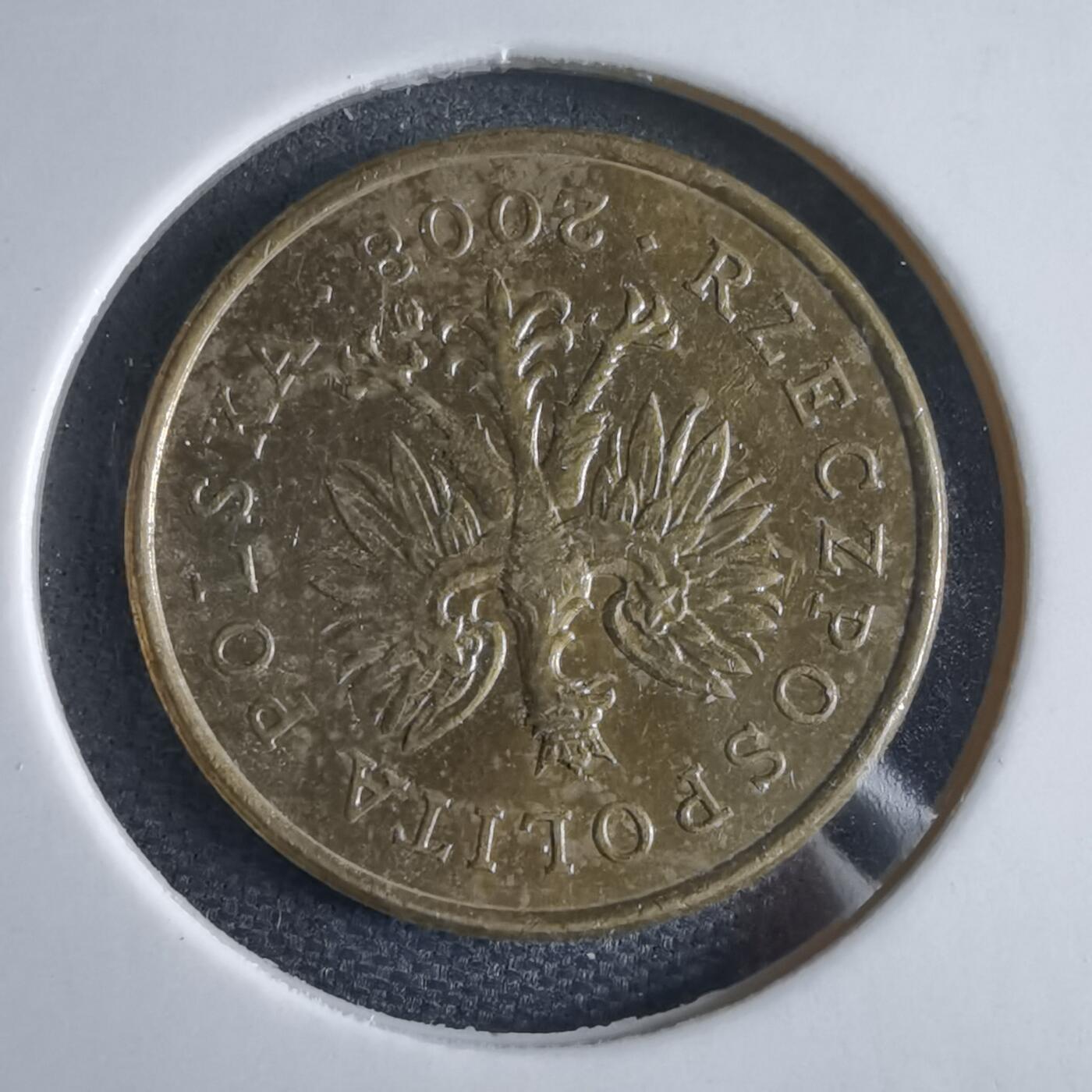 沼泽如烟--第969场 波兰2008年5格罗申