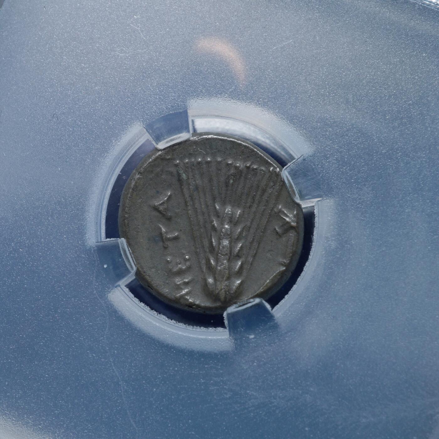 琋语集藏2026年02月欧洲古典打制币拍卖 古希腊卢卡尼亚雅典娜与大麦铜币（TQG评级）