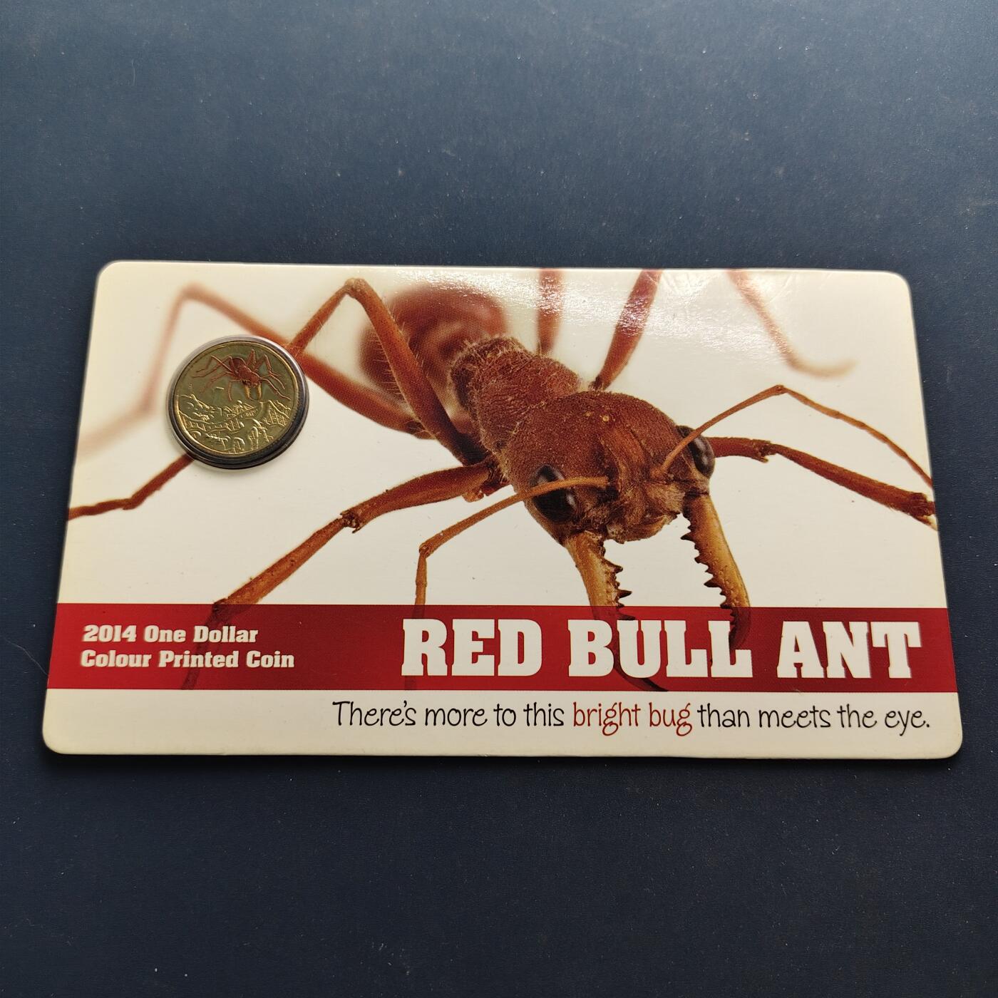 【全场包邮】纯粹捡漏拍497场-持续更新中 澳大利亚2014年1元彩色昆虫系列官方卡装彩色纪念币3枚一组-红牛蚁+杜鹃黄蜂+莱奇哈特蚱蜢