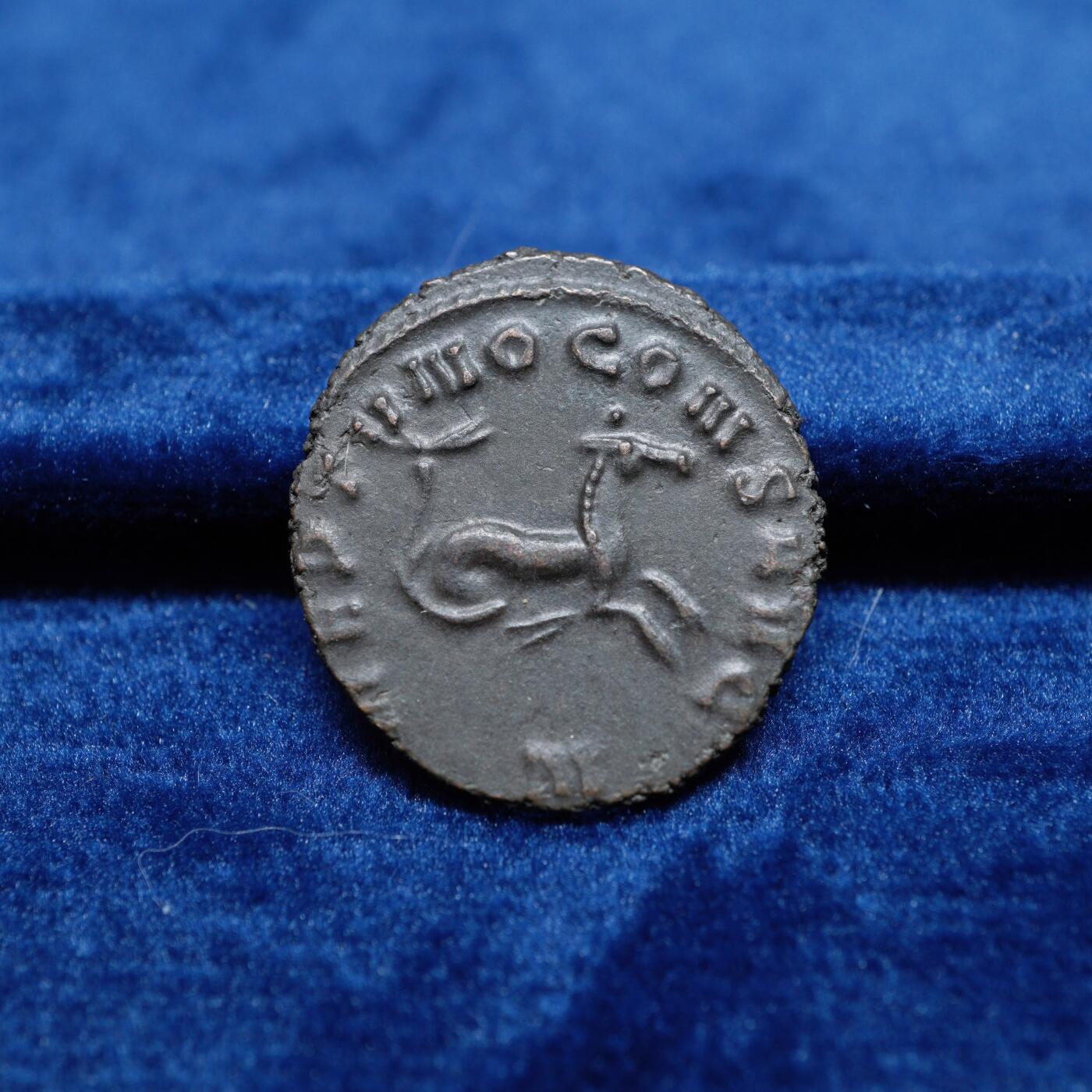 琋语集藏2026年02月欧洲古典打制币拍卖 古罗马帝国加里恩努斯-海马铜币