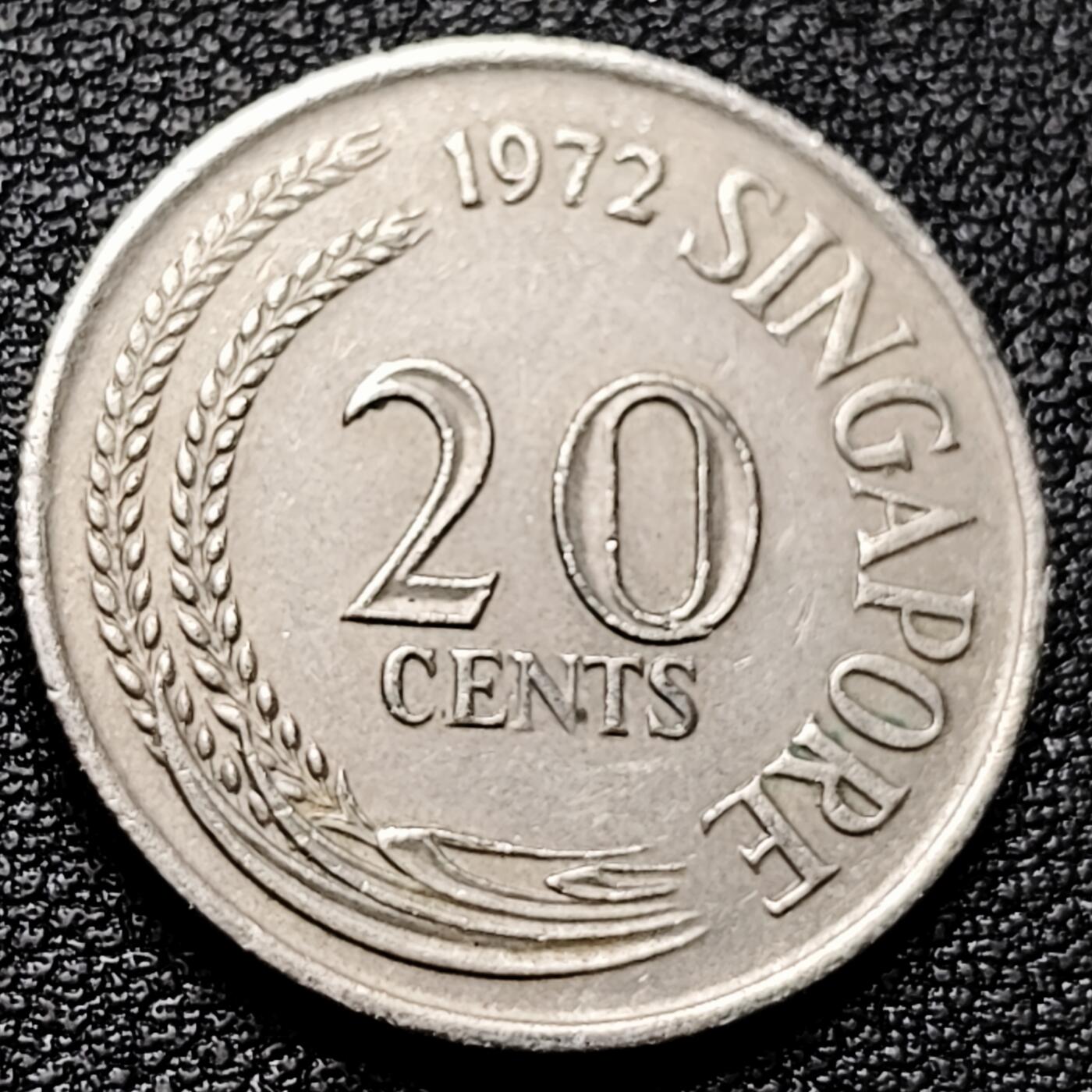 泉币菌-第173场- 精品福利场 。