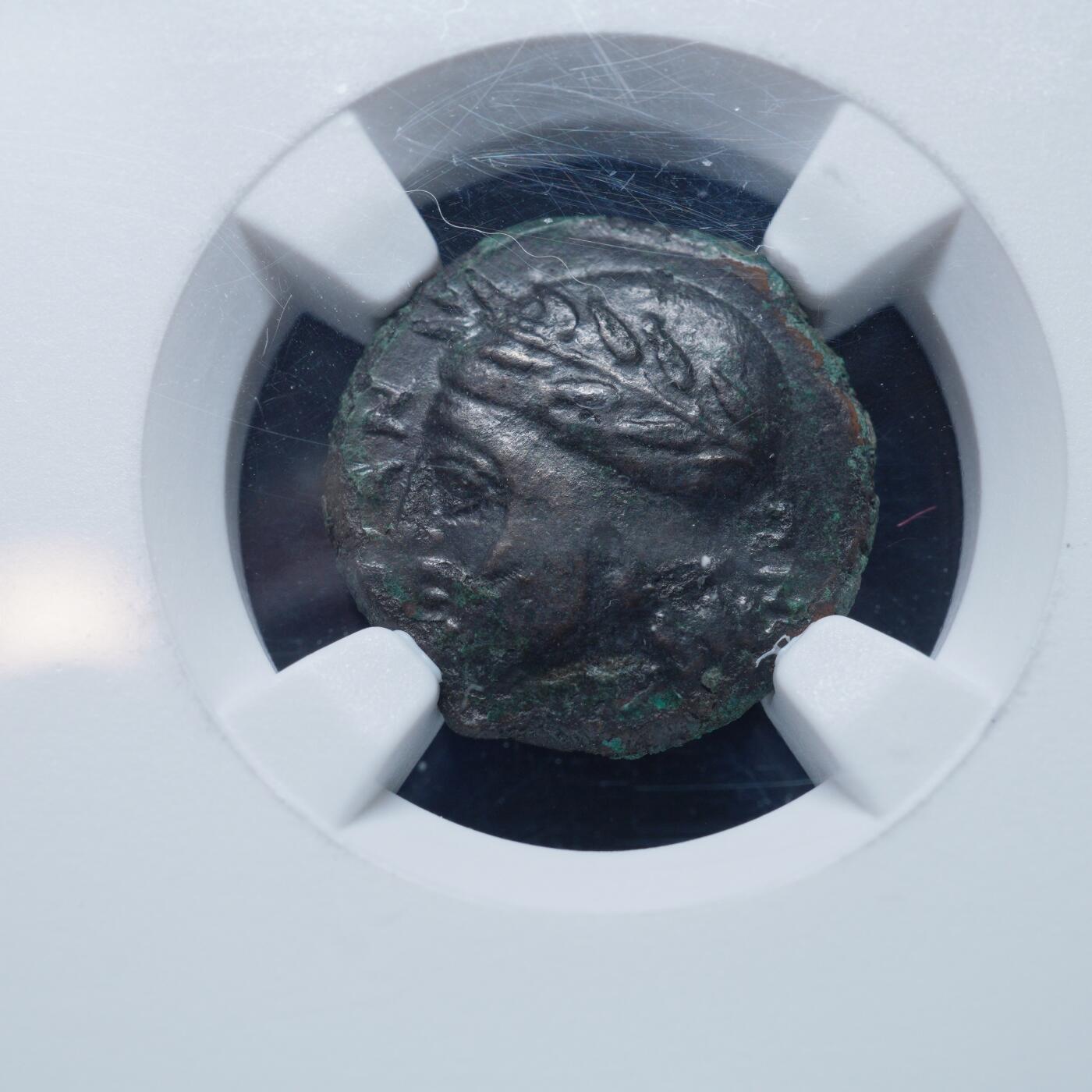 琋语集藏2026年02月欧洲古典打制币拍卖 古希腊西西里岛-恩泰拉 男性战盔像与骏马铜币（NGC评级）