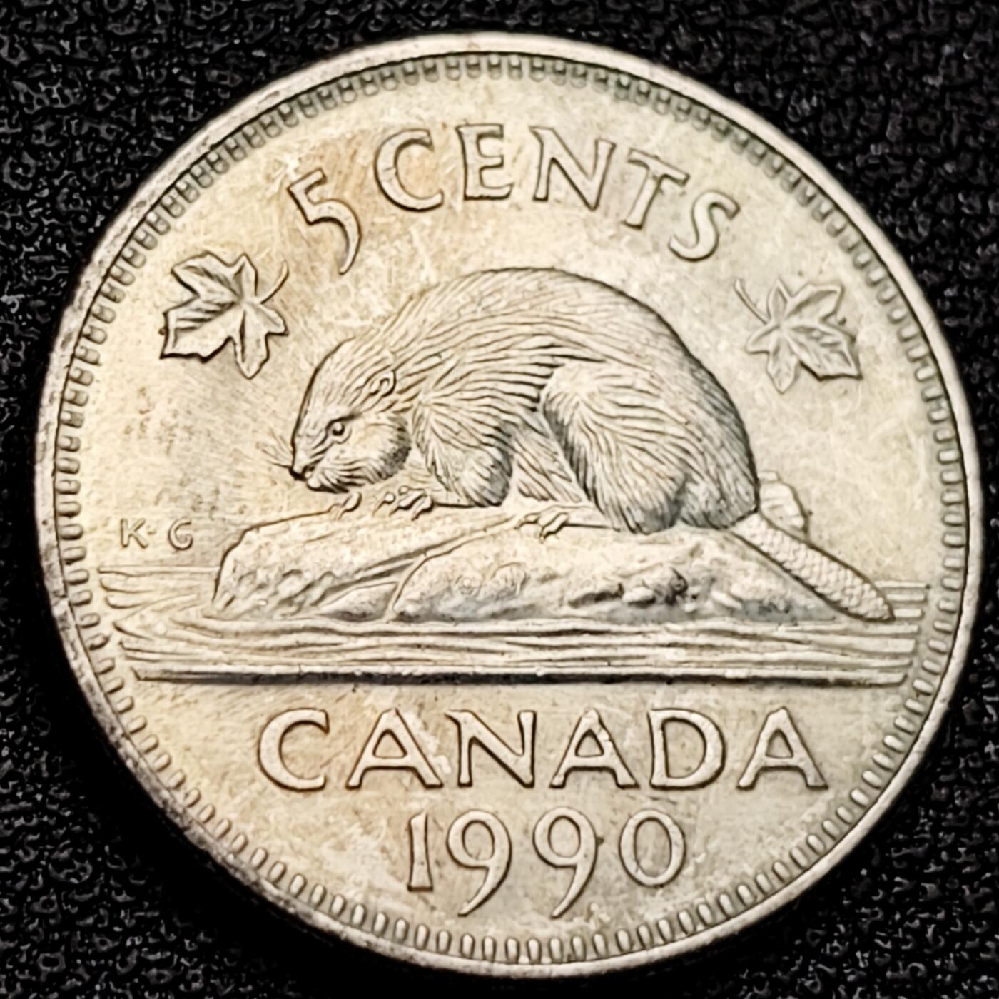 泉币菌-第173场- 精品福利场 。